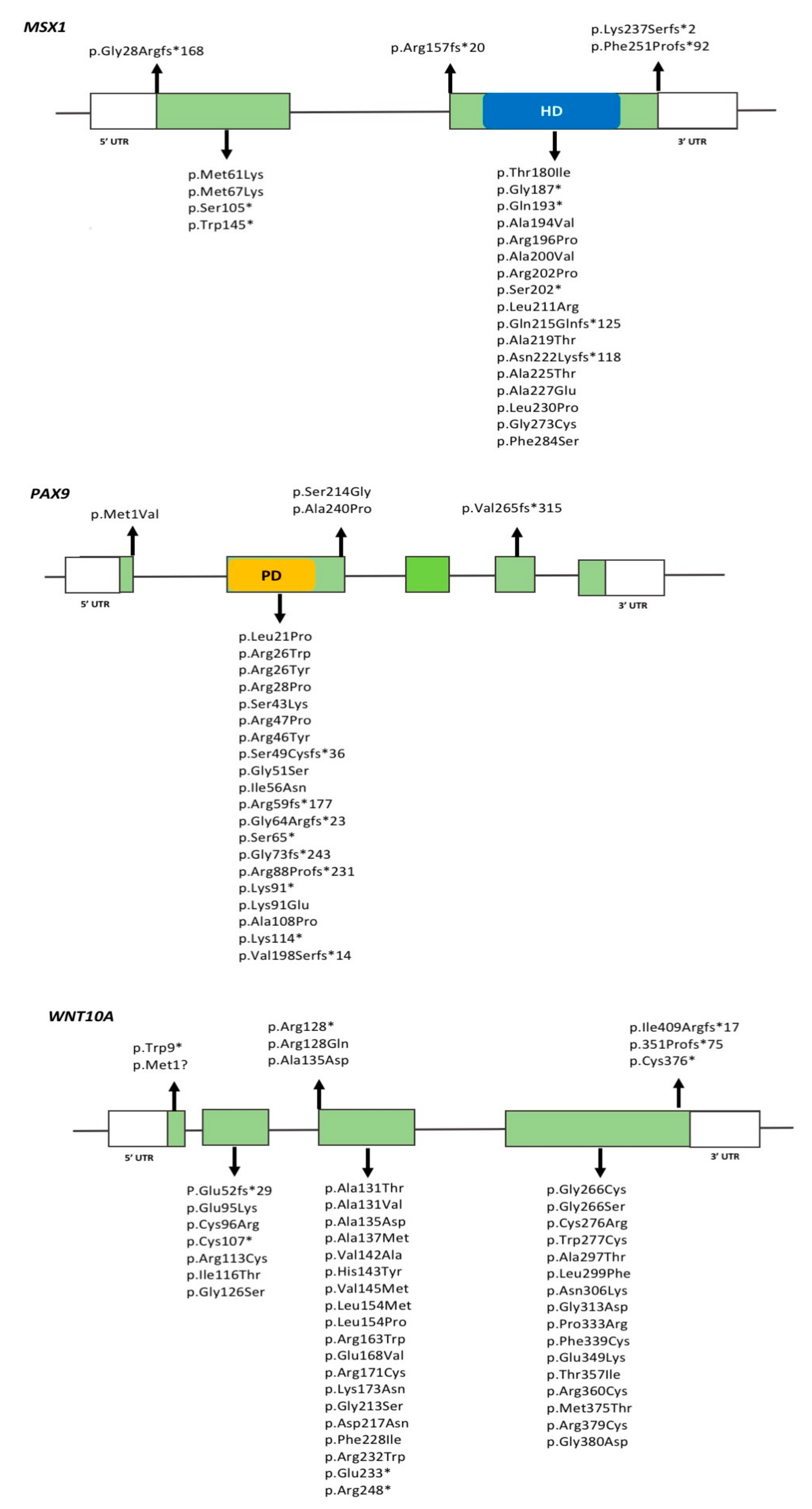 Genes 09 00255 g001 Genes 09 00255 g001