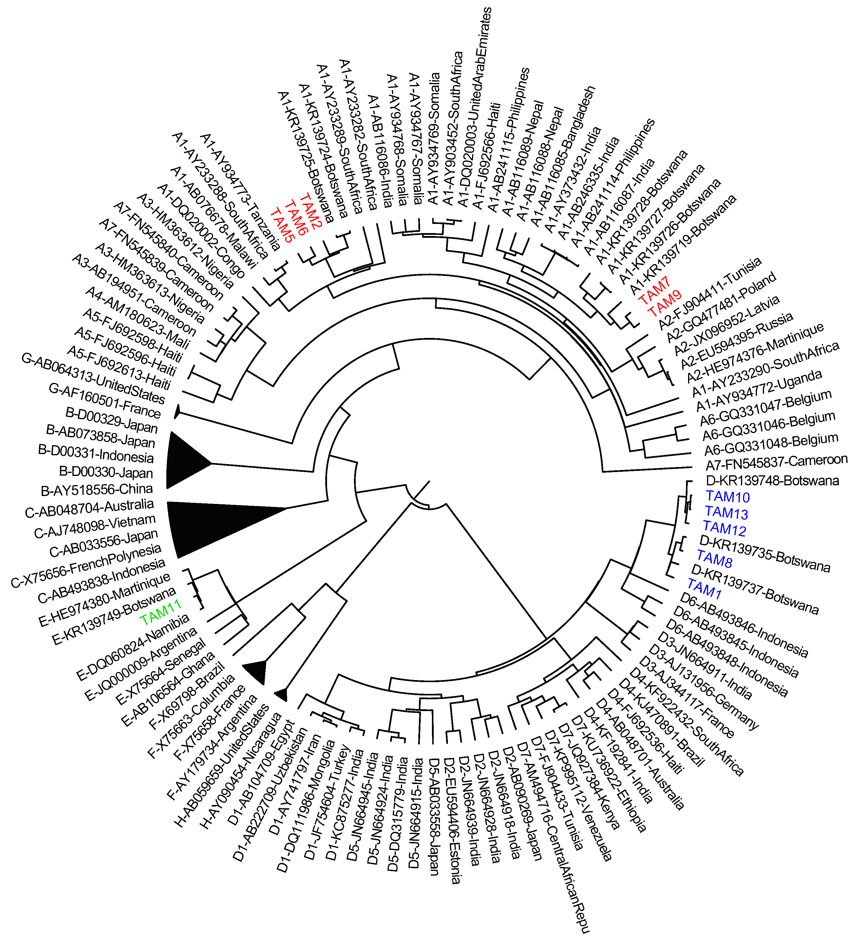 Genes 09 00259 g003