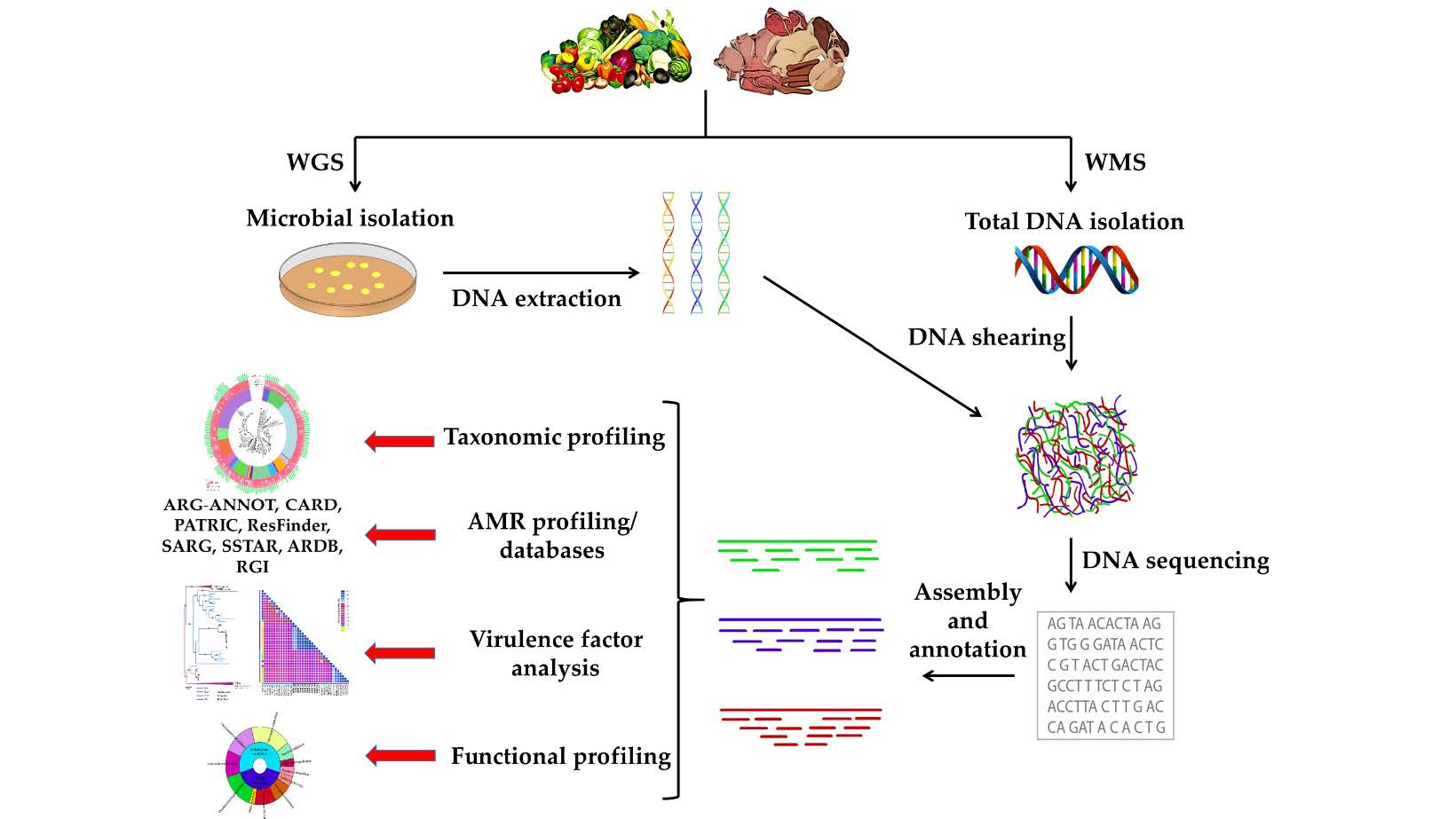 Genes Free FullText The Present and Future of Whole Genome