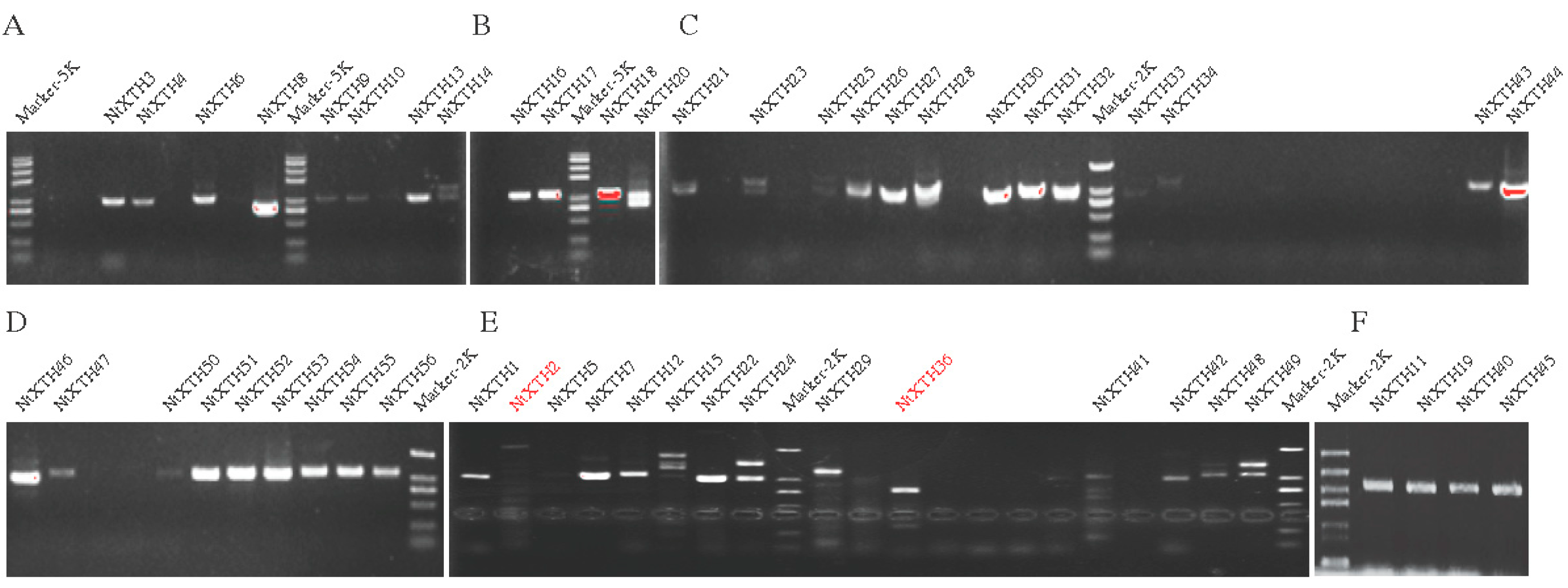 Genes 09 00273 g005