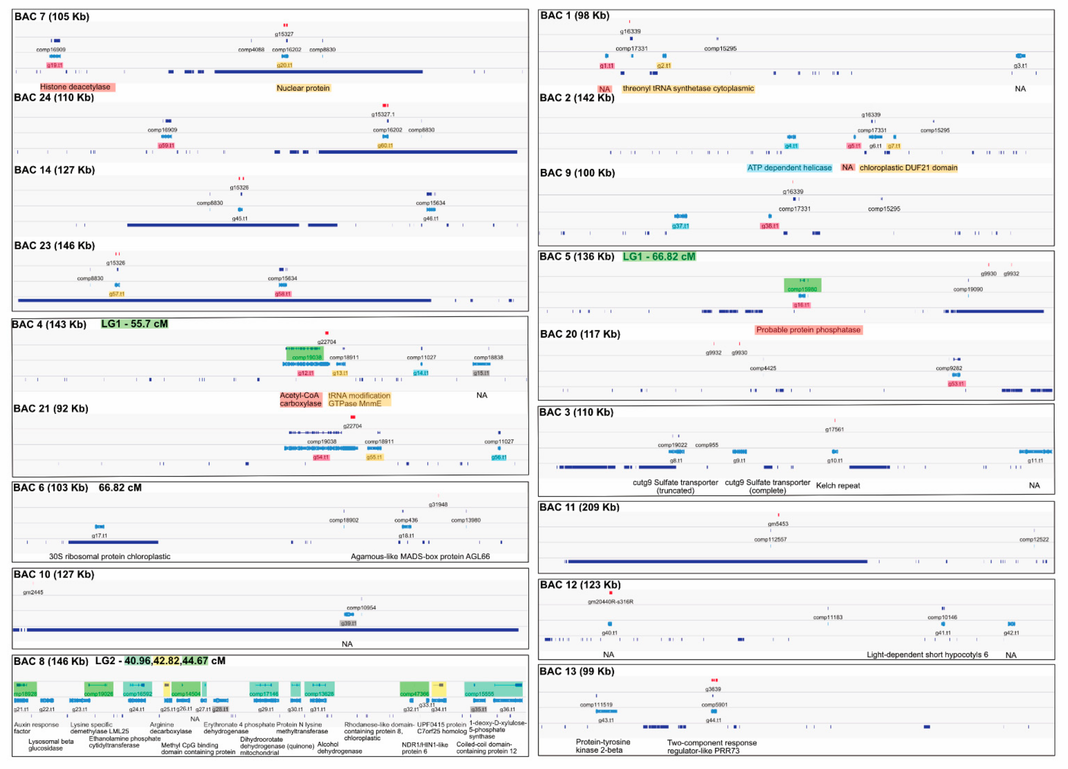 Genes 09 00277 g002 Genes 09 00277 g002