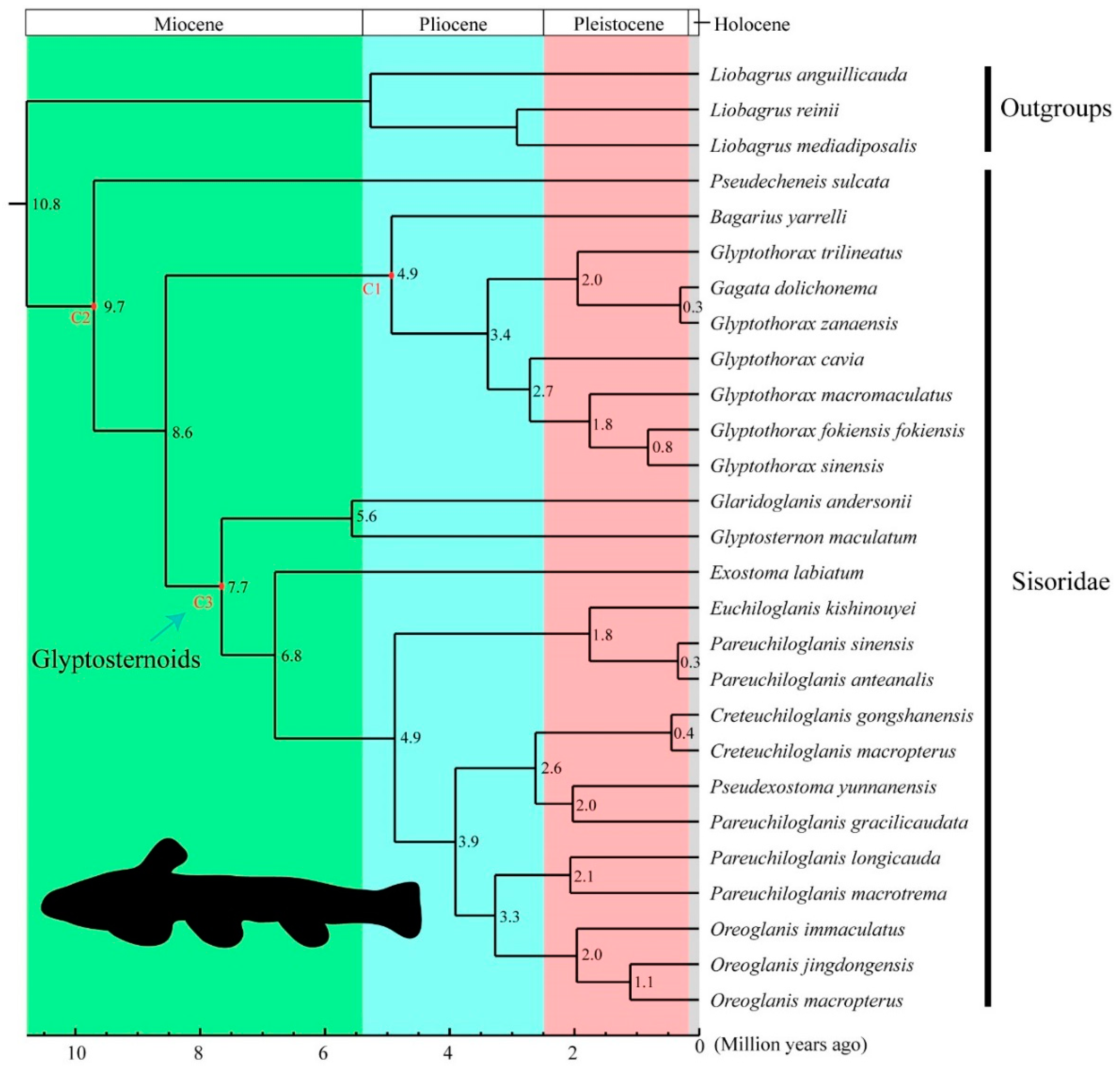 Genes 09 00282 g003 Genes 09 00282 g003