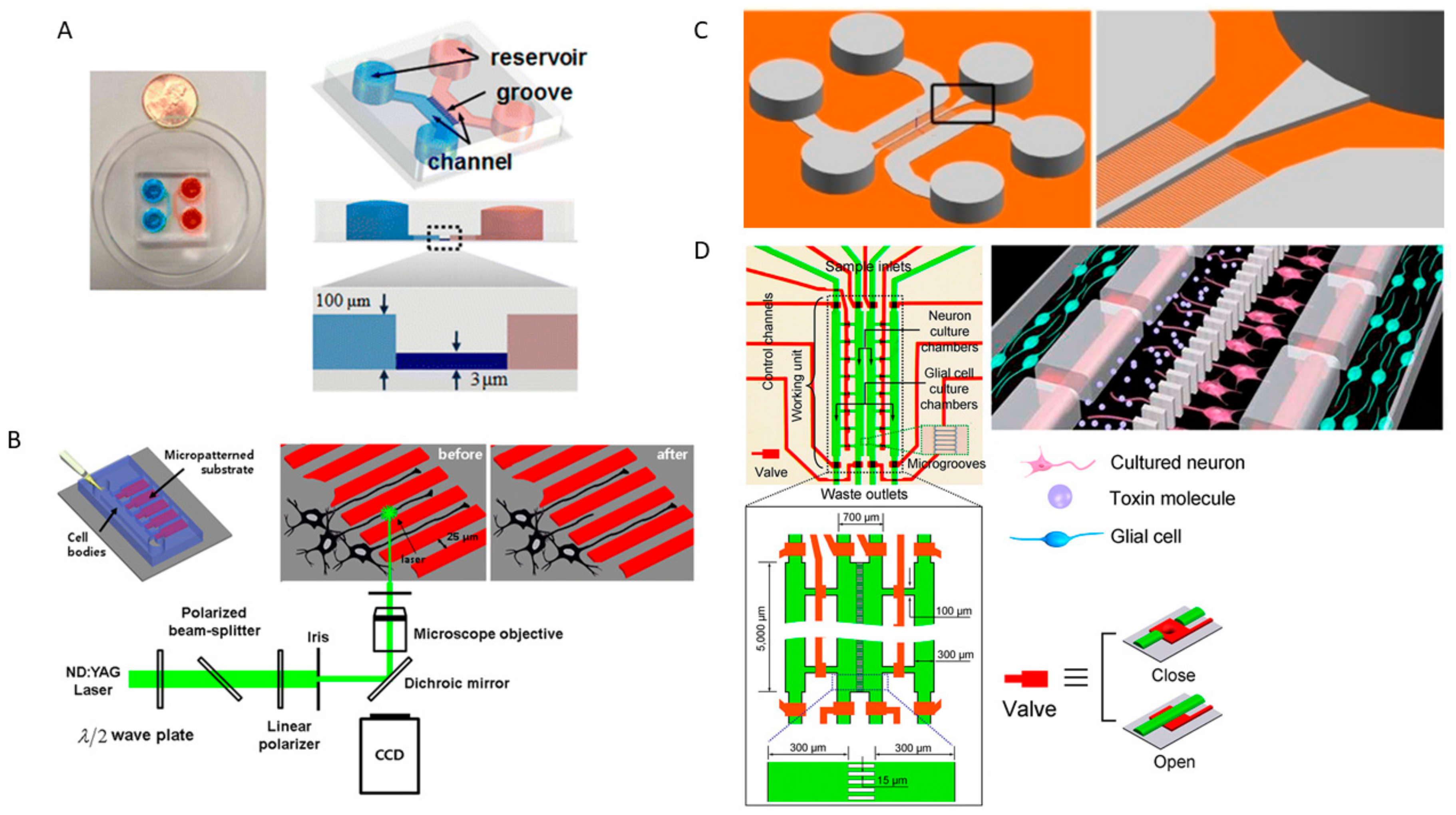 Genes 09 00285 g005
