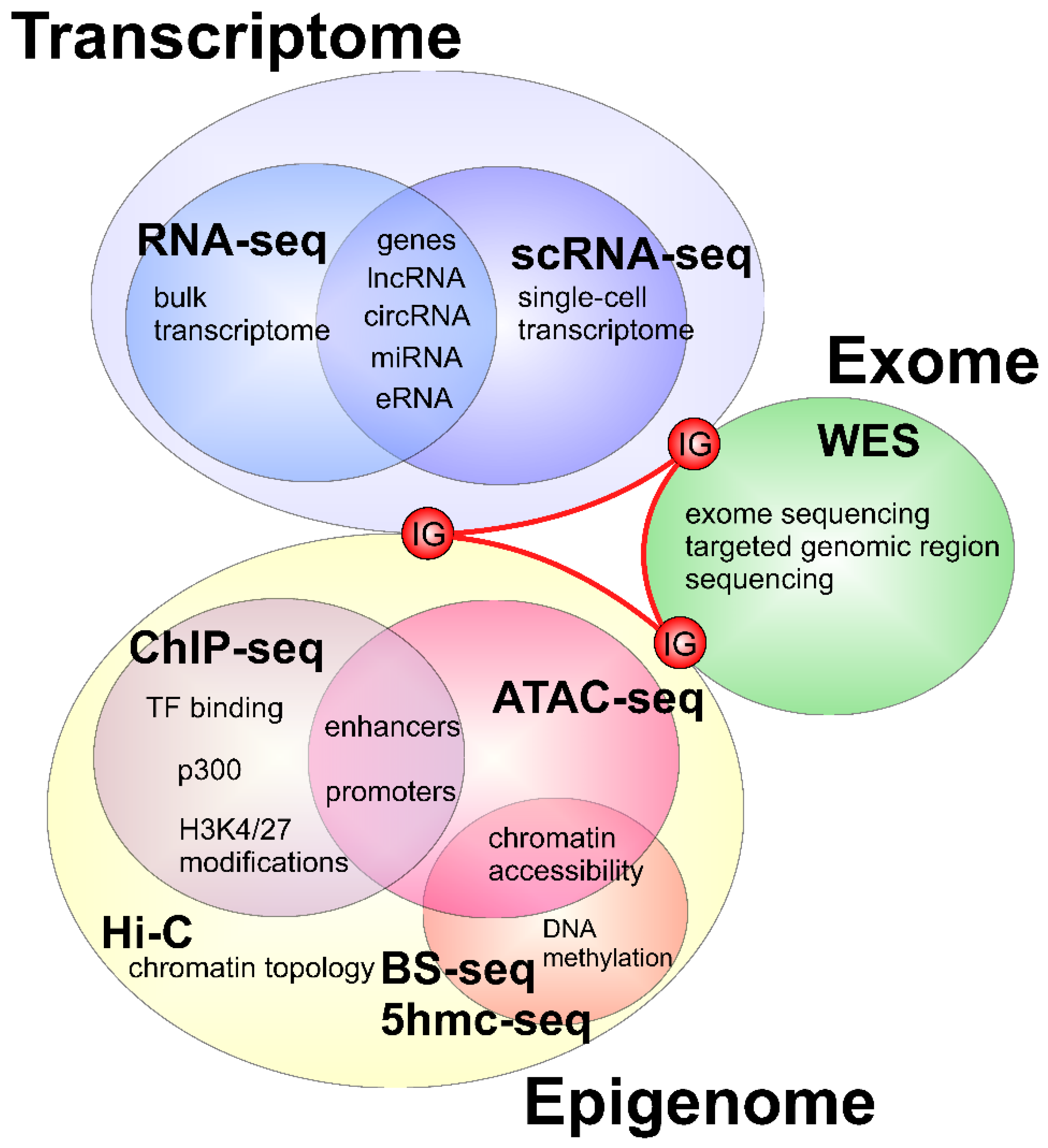 Genes 09 00289 g003
