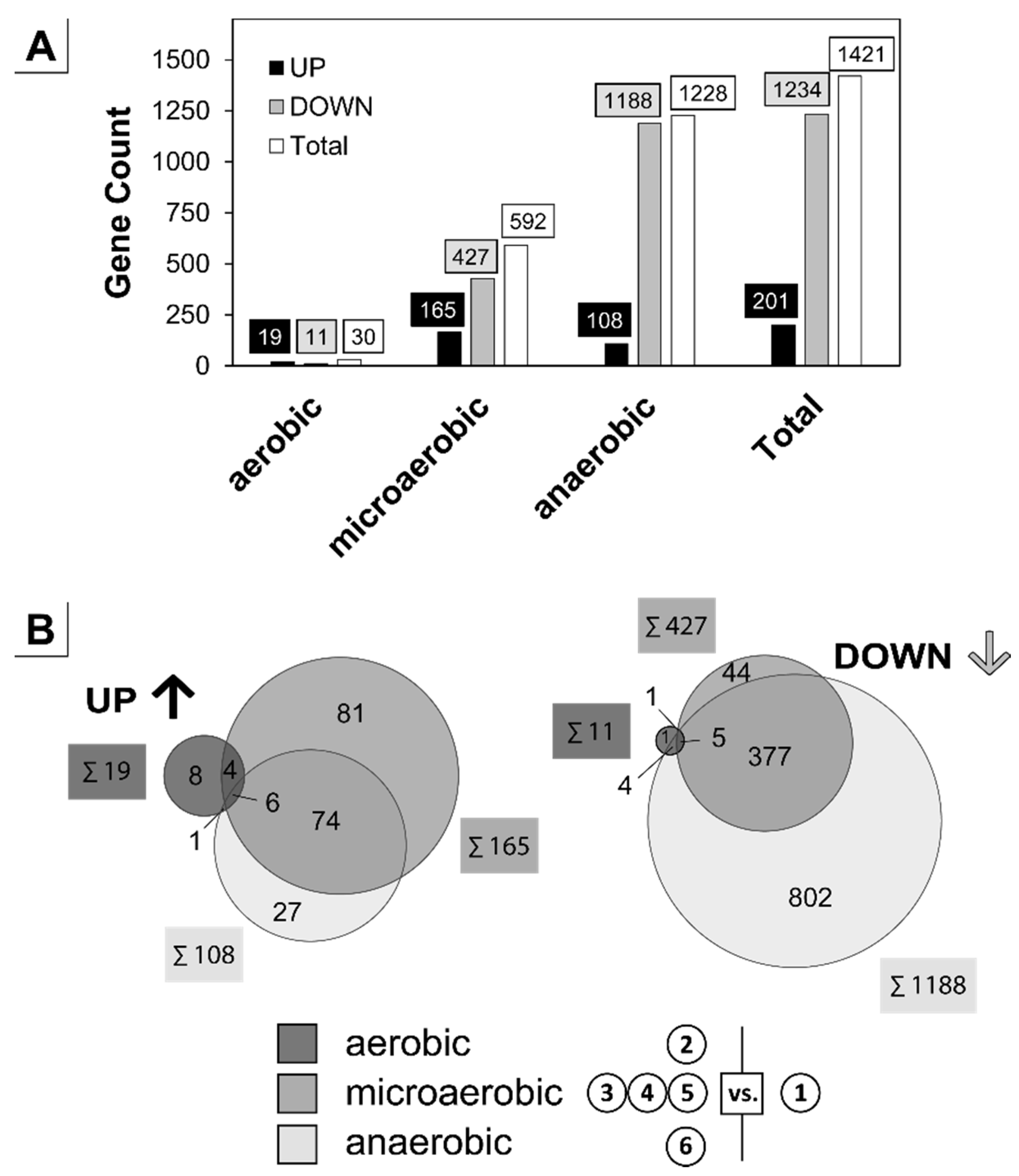 Genes 09 00297 g002
