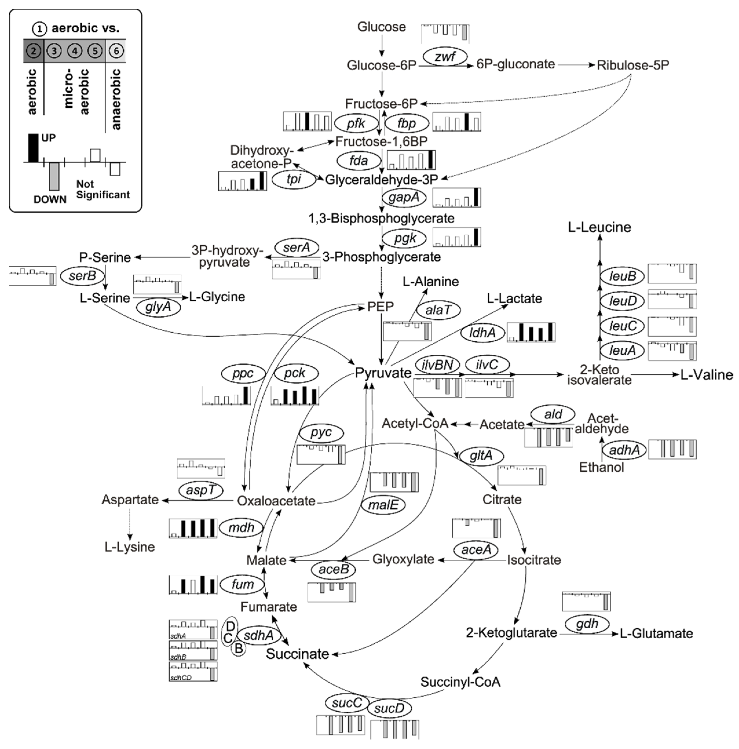 Genes 09 00297 g003