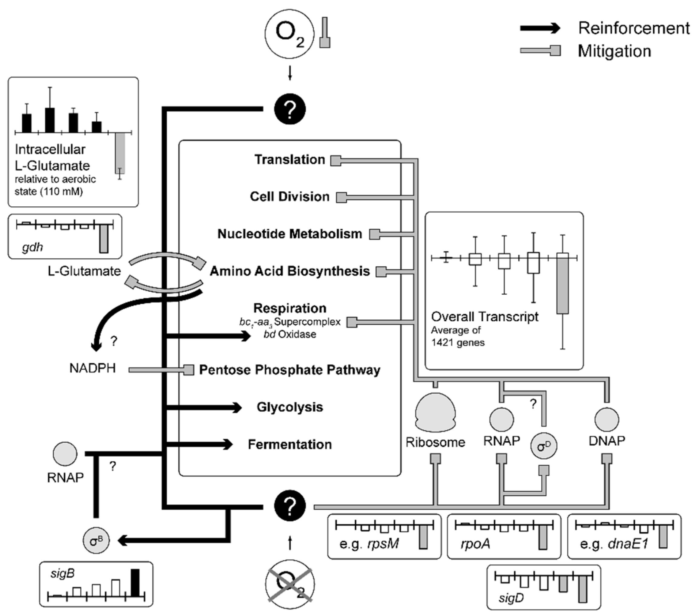 Genes 09 00297 g007