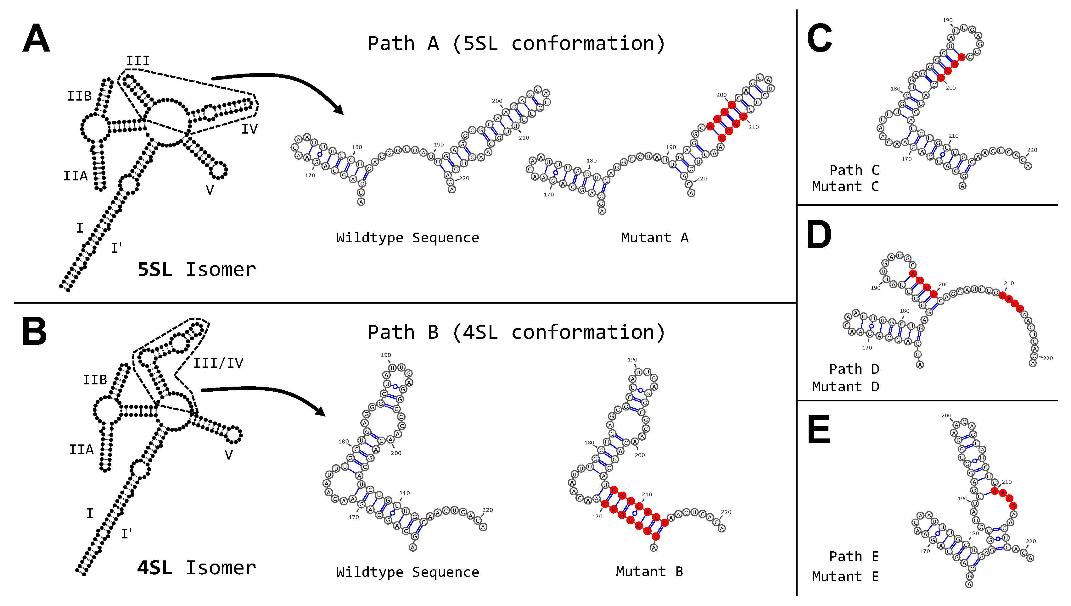 Genes 09 00300 g003