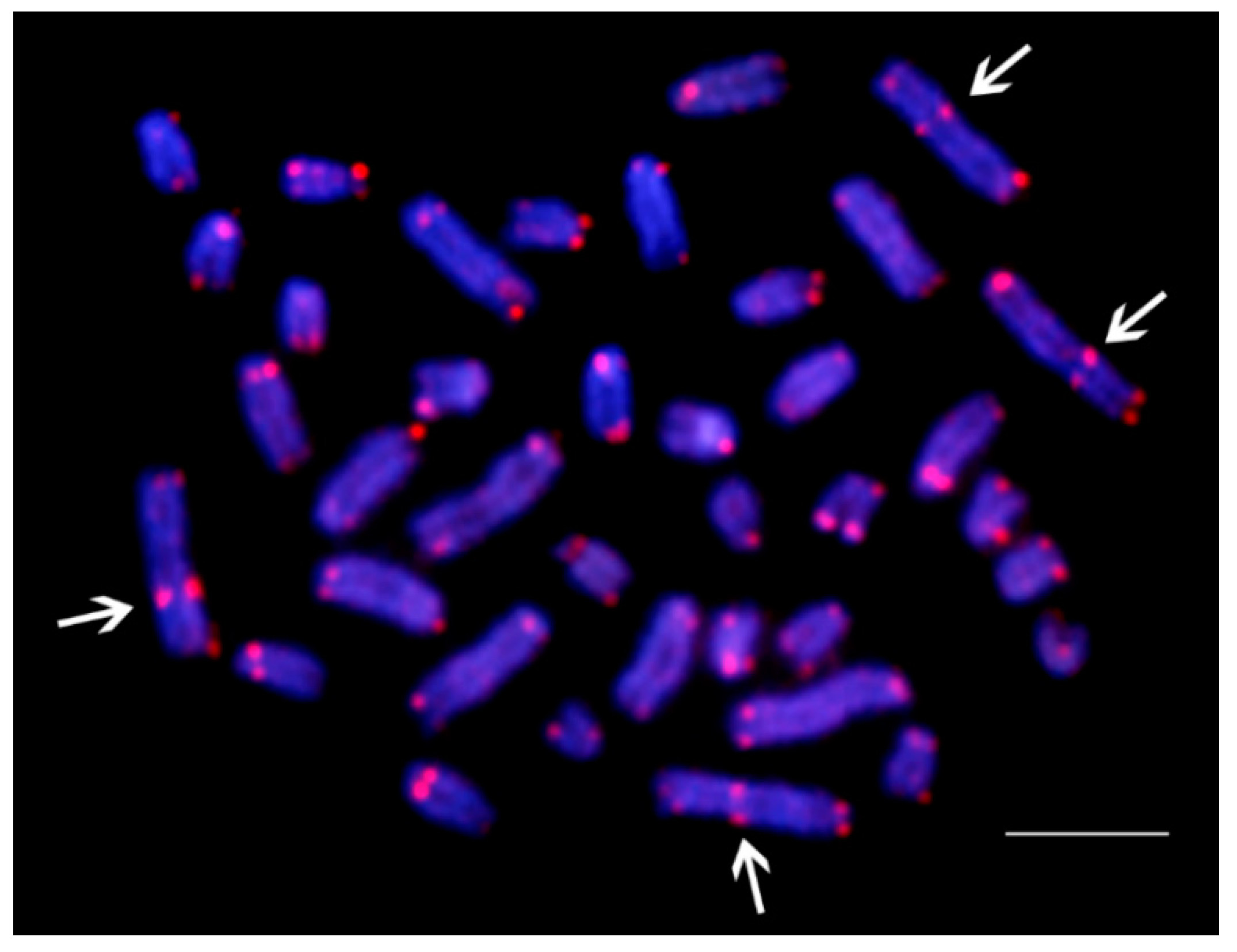 Genes 09 00306 g005 Genes 09 00306 g005