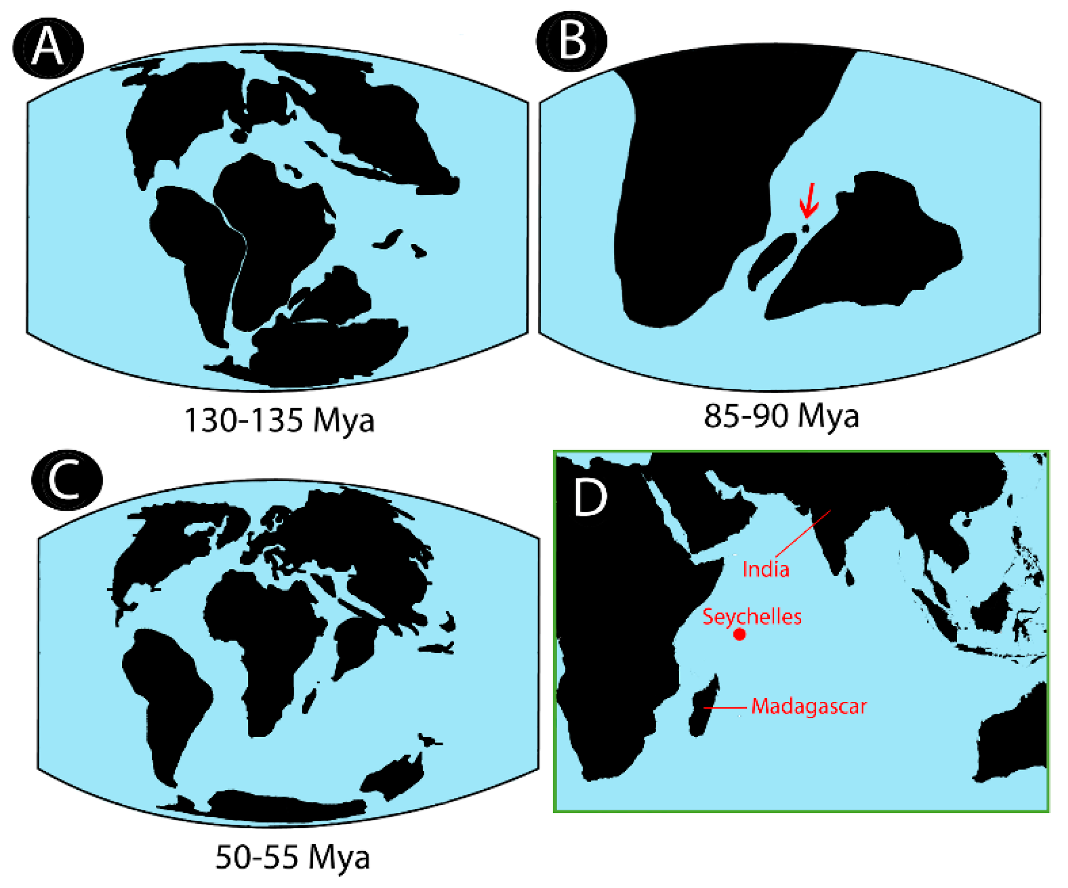 Genes 09 00306 g011 Genes 09 00306 g011