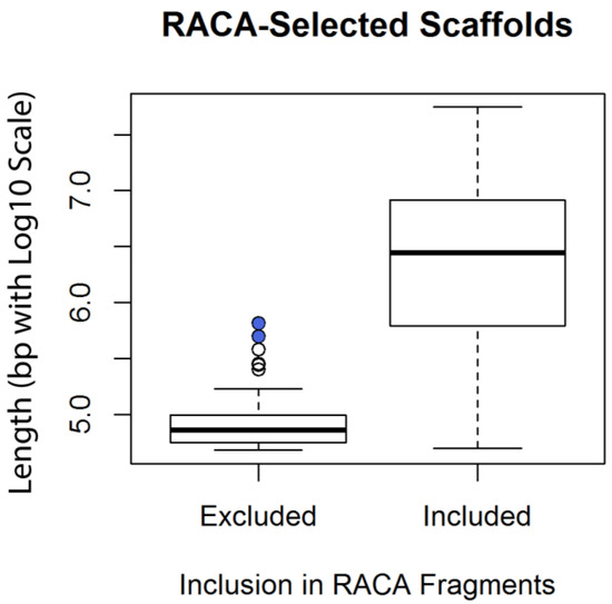 クローズ 秋冬新作グローブ K-5560 ゴアテックスレザーグローブ入荷