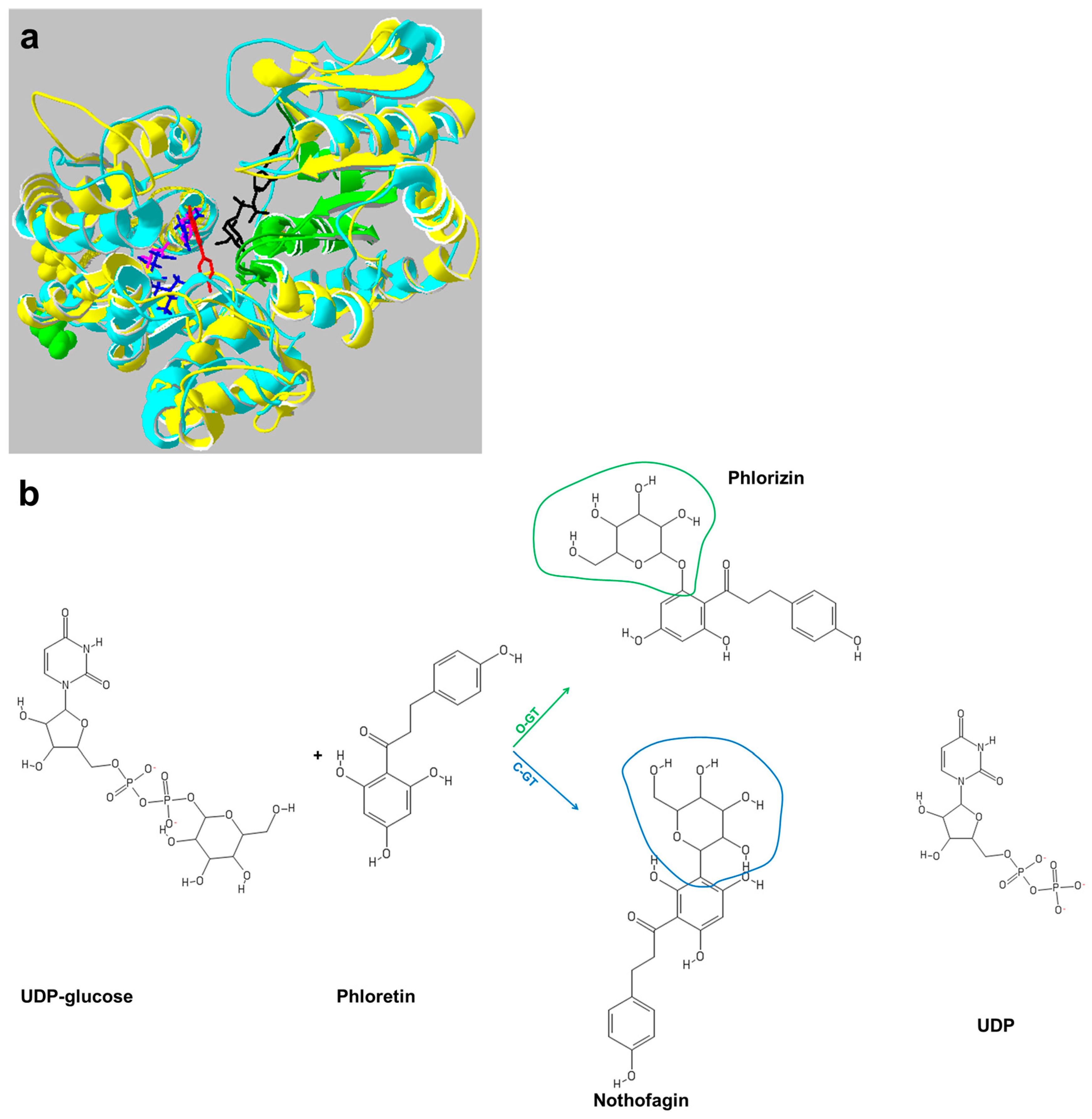 Genes Free Full Text Production Of Plant Secondary Metabolites Examples Tips And Suggestions For Biotechnologists Html