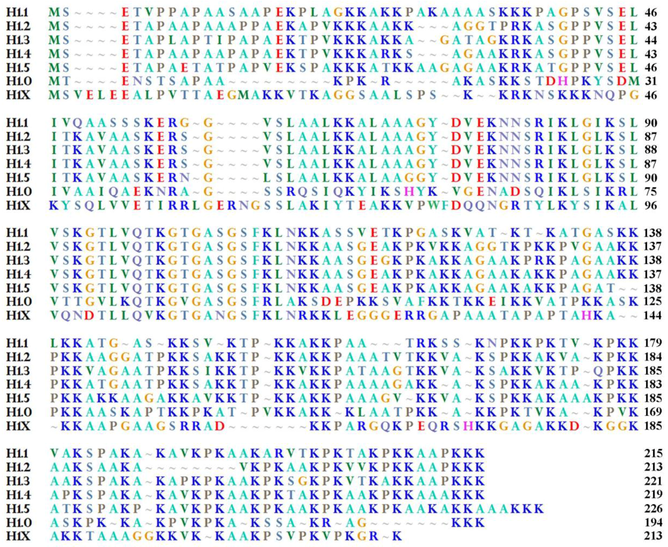 Genes Free Full Text H1 0 Linker Histone As An Epigenetic Regulator Of Cell Proliferation And Differentiation Html