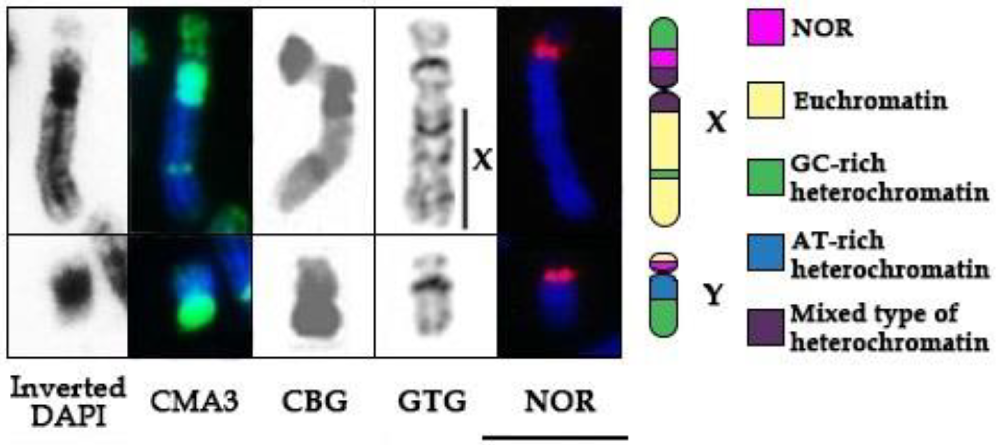 Genes 09 00312 g002 Genes 09 00312 g002