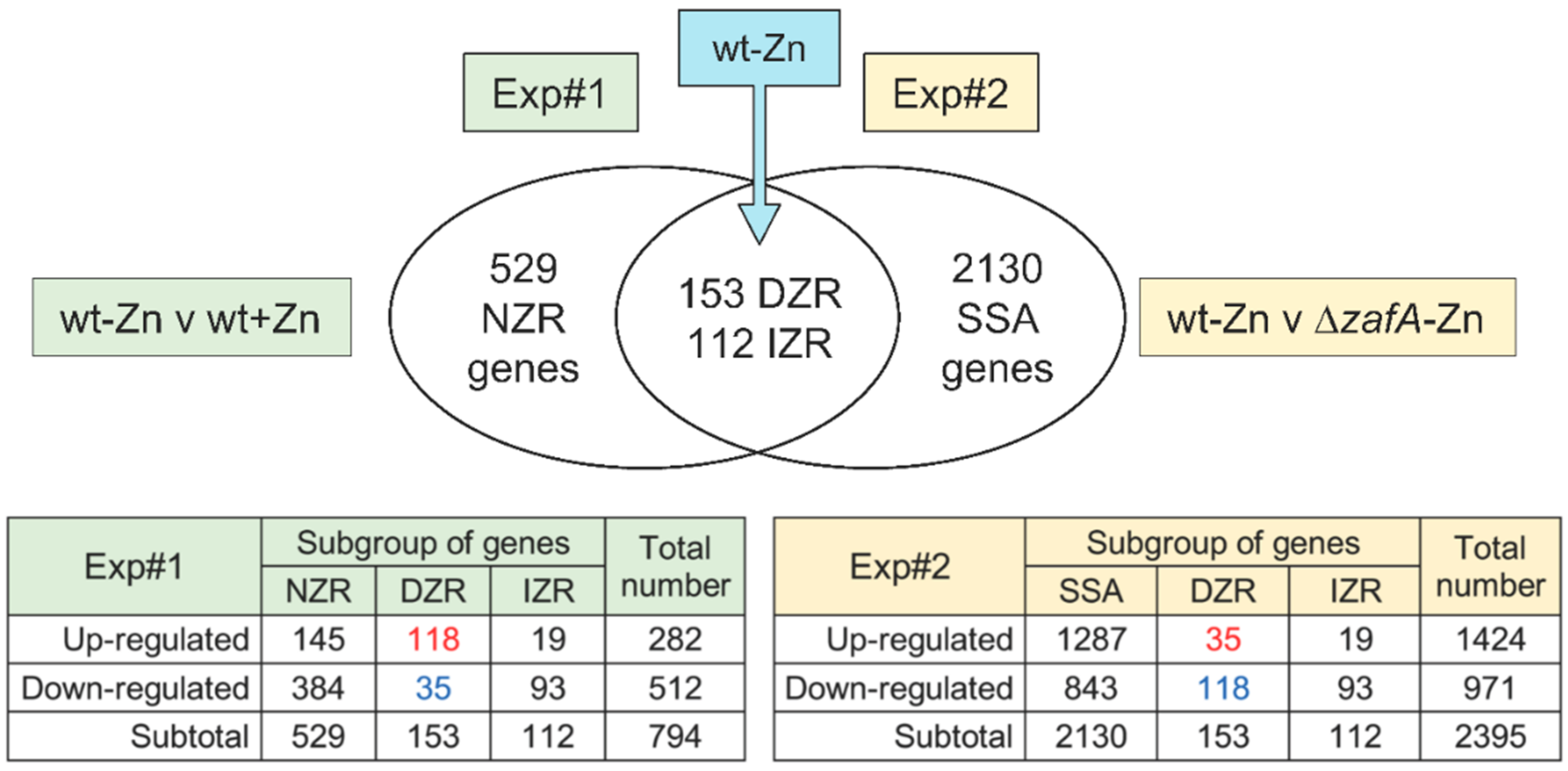 Genes 09 00318 g002 Genes 09 00318 g002