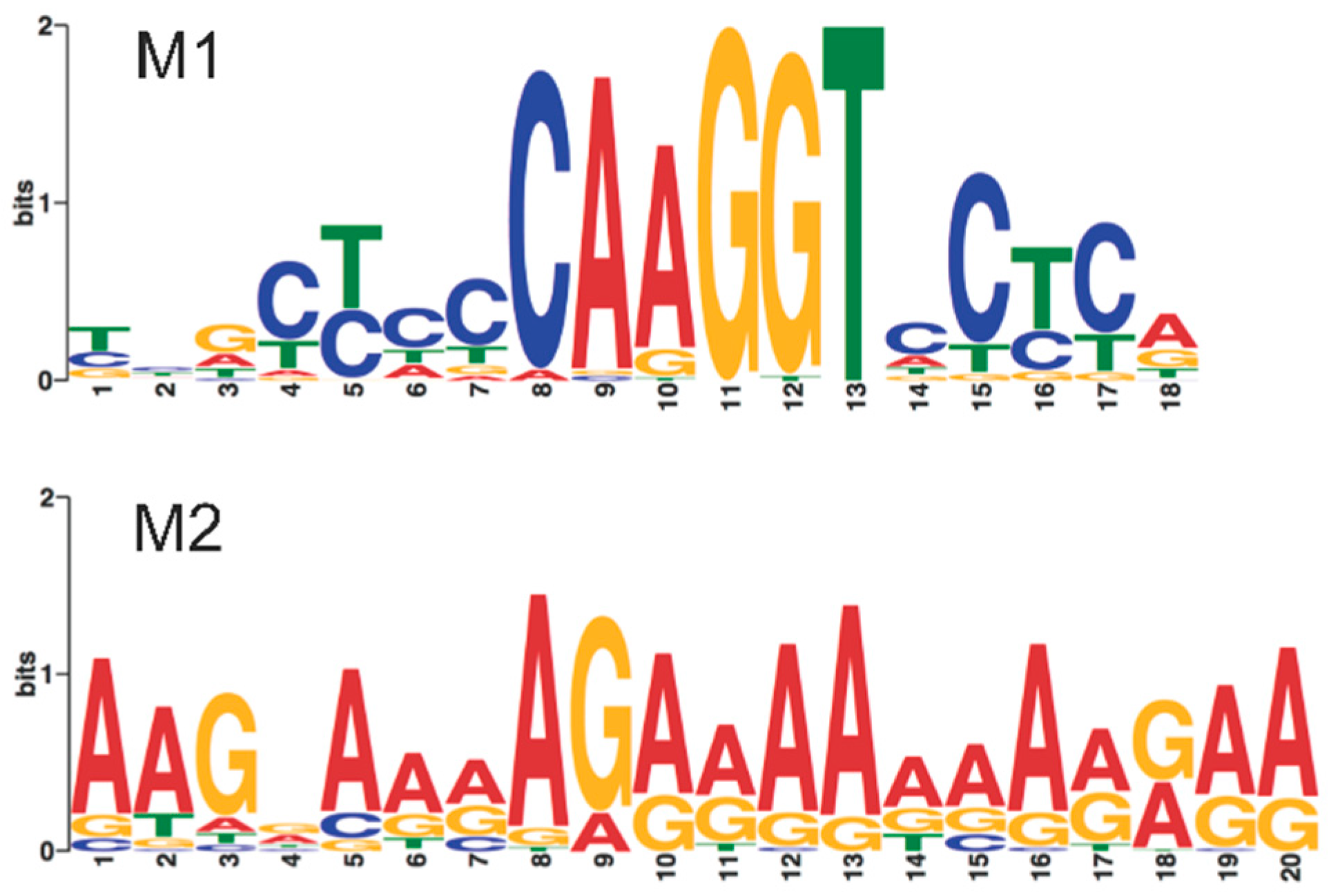 Genes 09 00318 g003 Genes 09 00318 g003