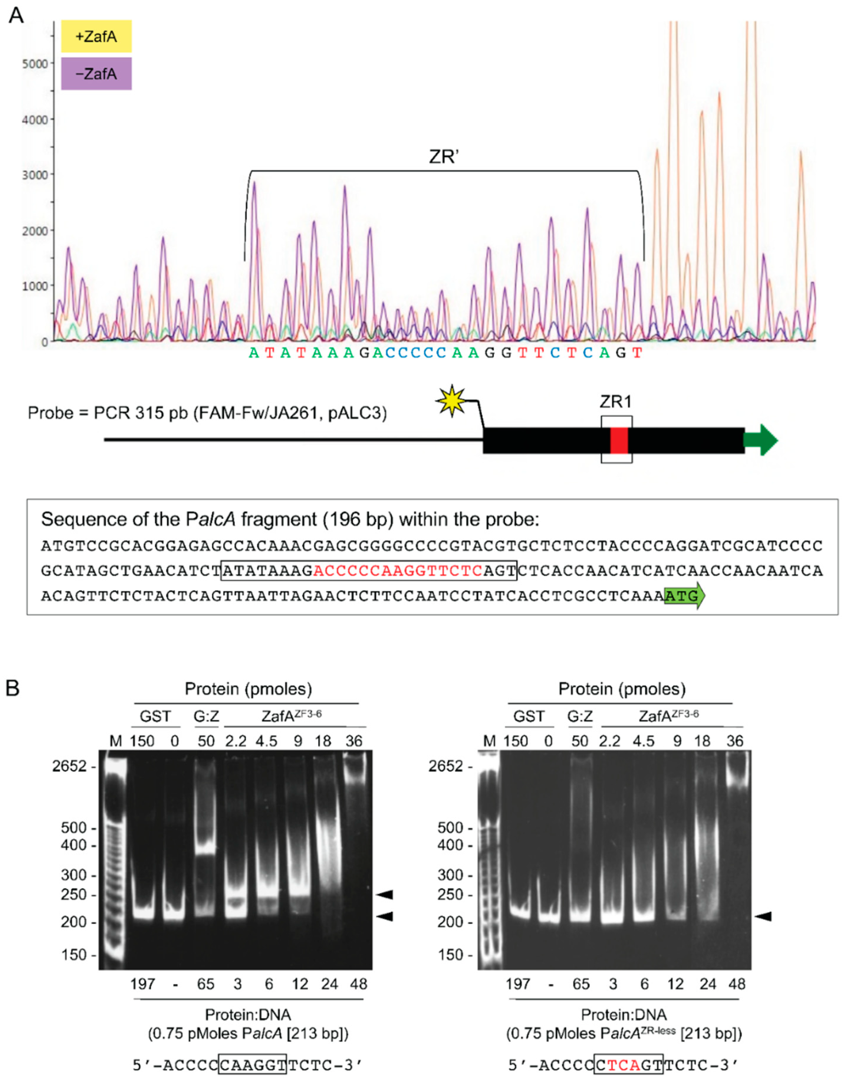 Genes 09 00318 g006 Genes 09 00318 g006