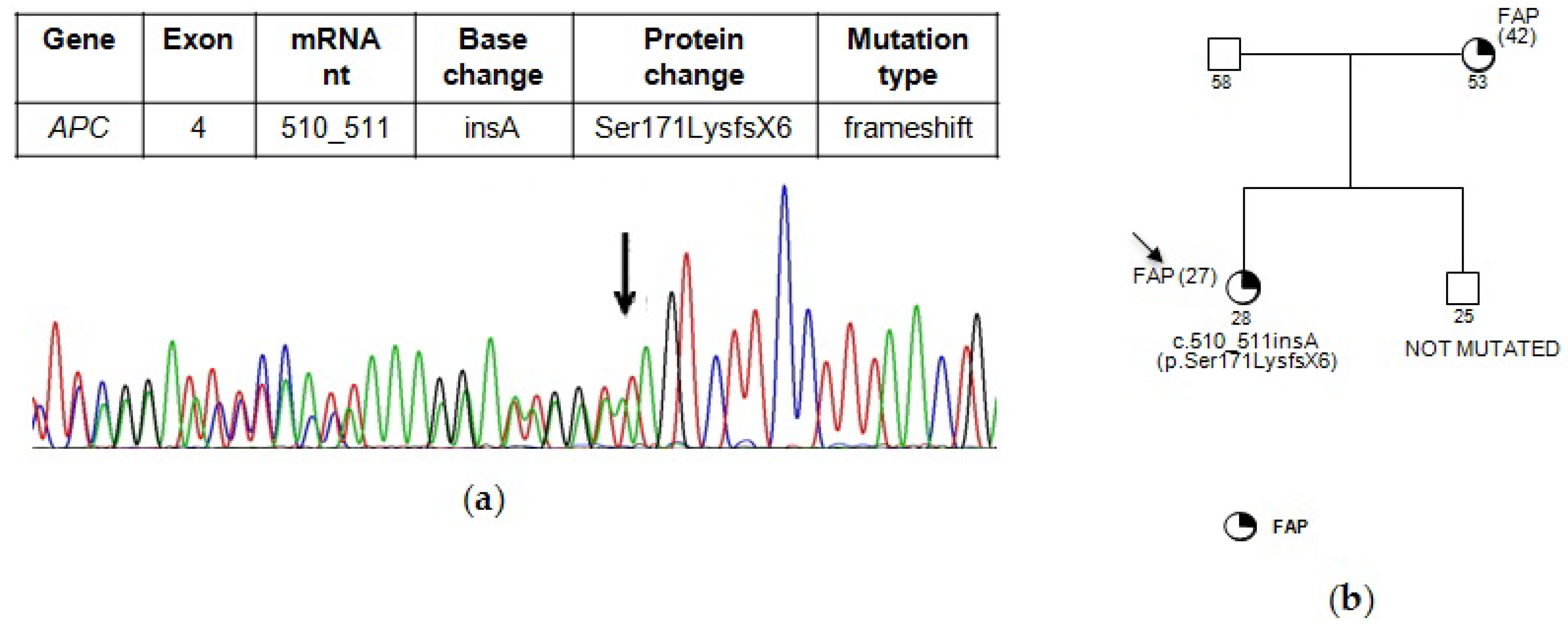 Genes 09 00322 g001 Genes 09 00322 g001