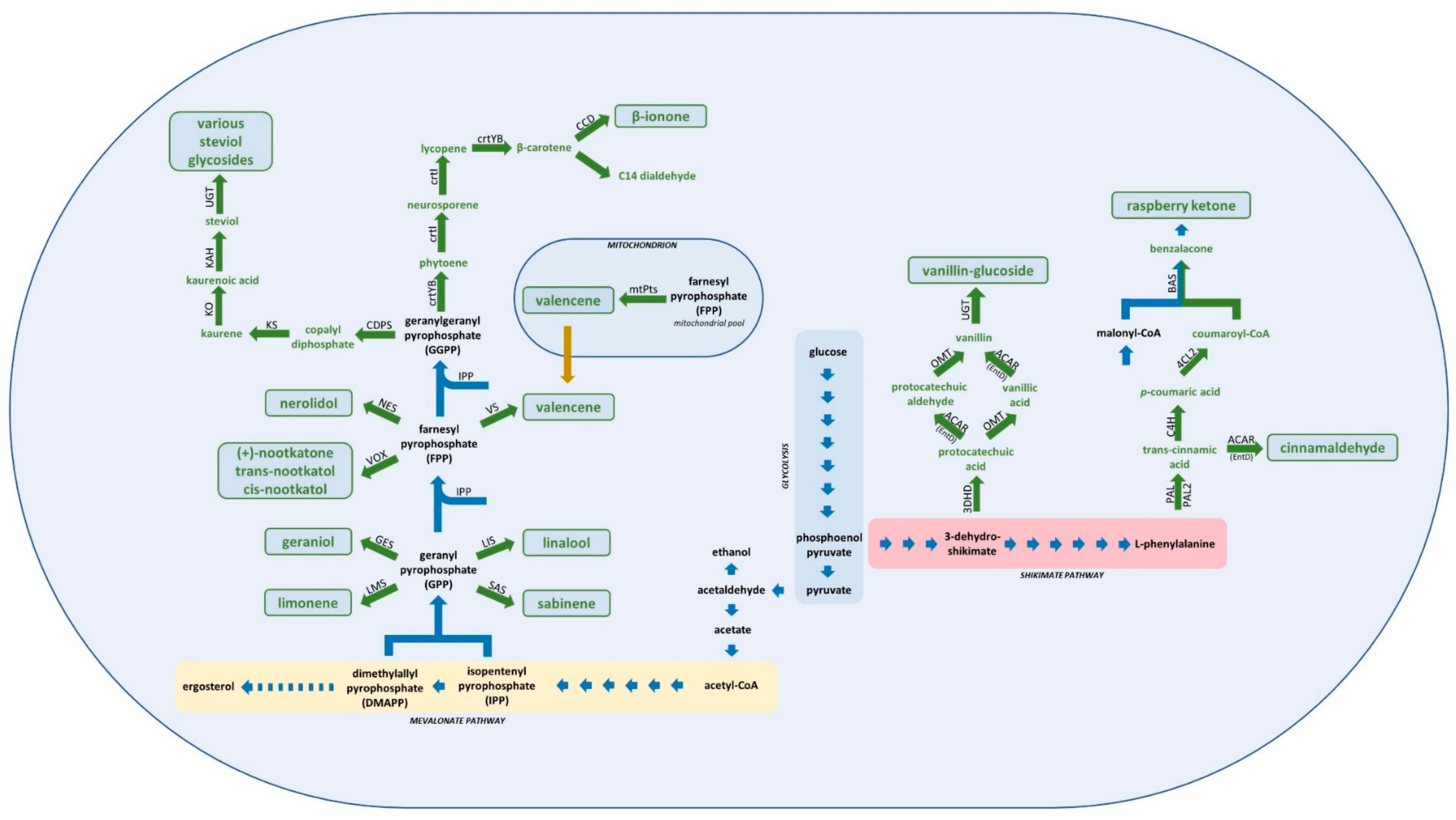 Genes 09 00326 g001 Genes 09 00326 g001