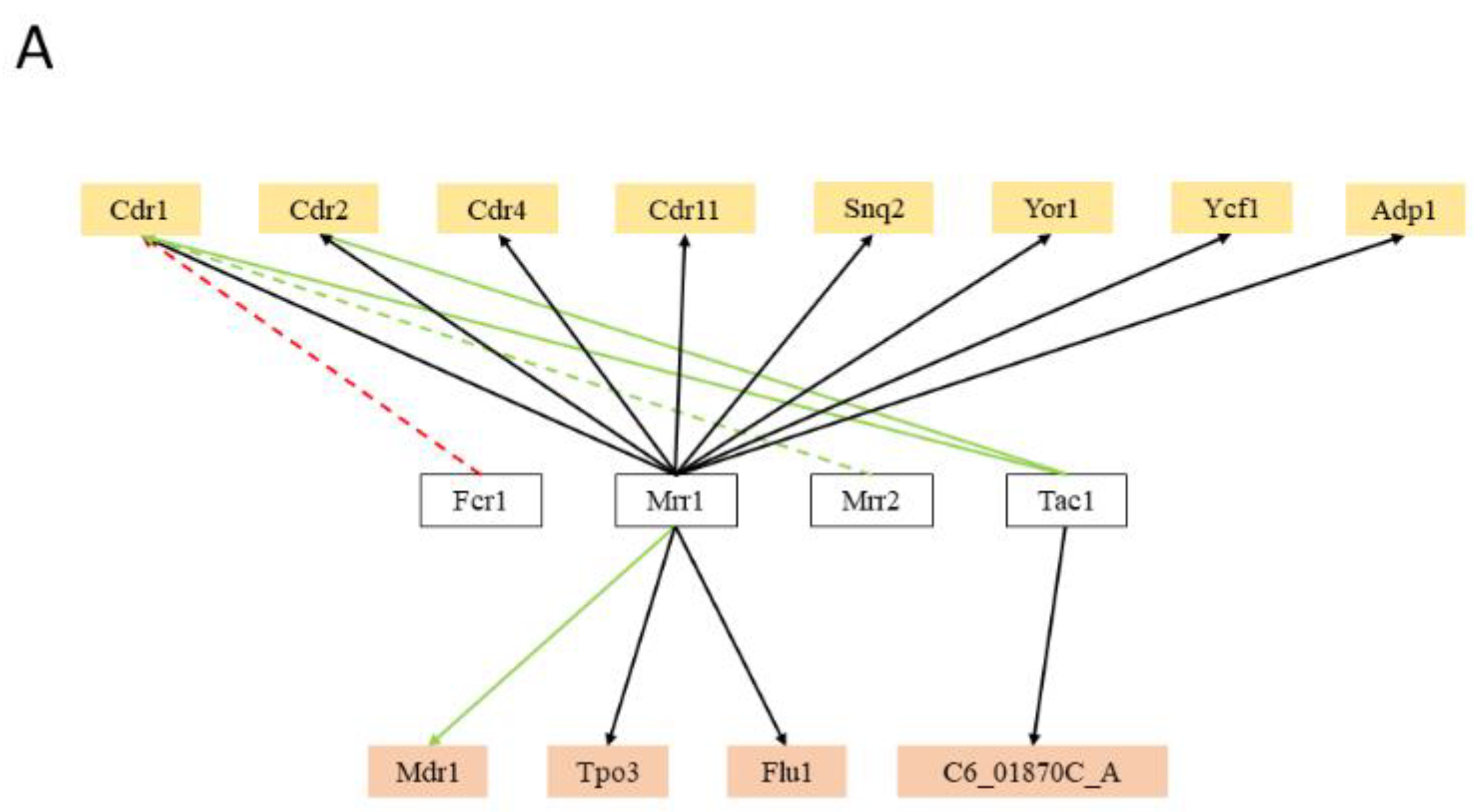 Genes 09 00332 g002a Genes 09 00332 g002a