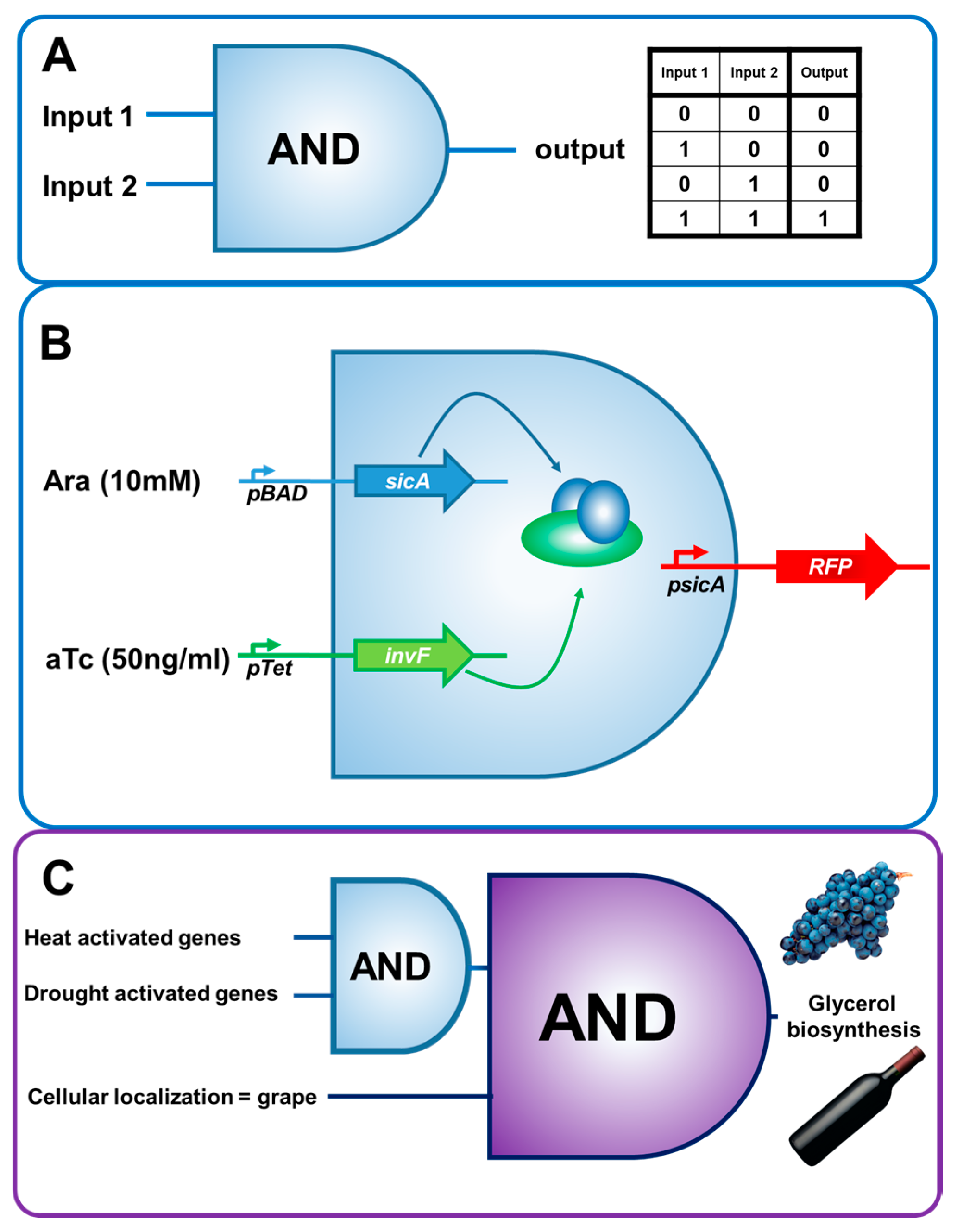 Emerging Opportunities for Synthetic Biology in Agriculture