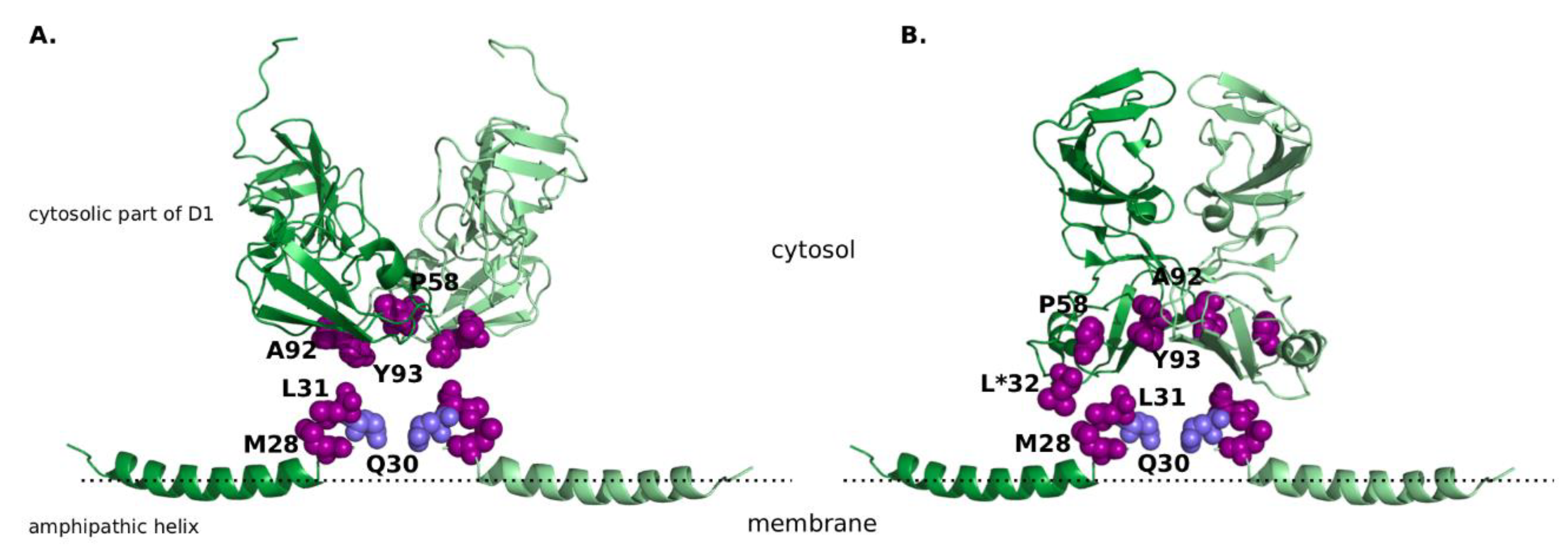 Genes 09 00343 g001 Genes 09 00343 g001