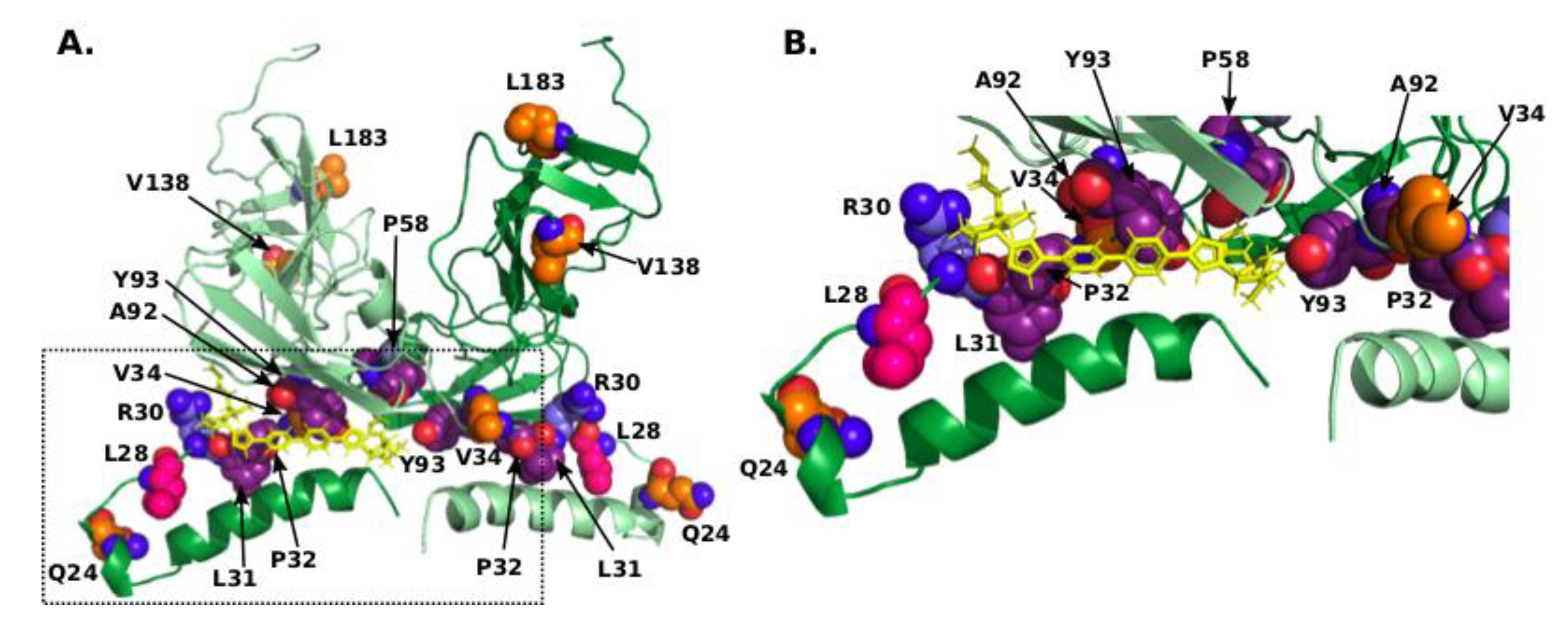 Genes 09 00343 g003 Genes 09 00343 g003