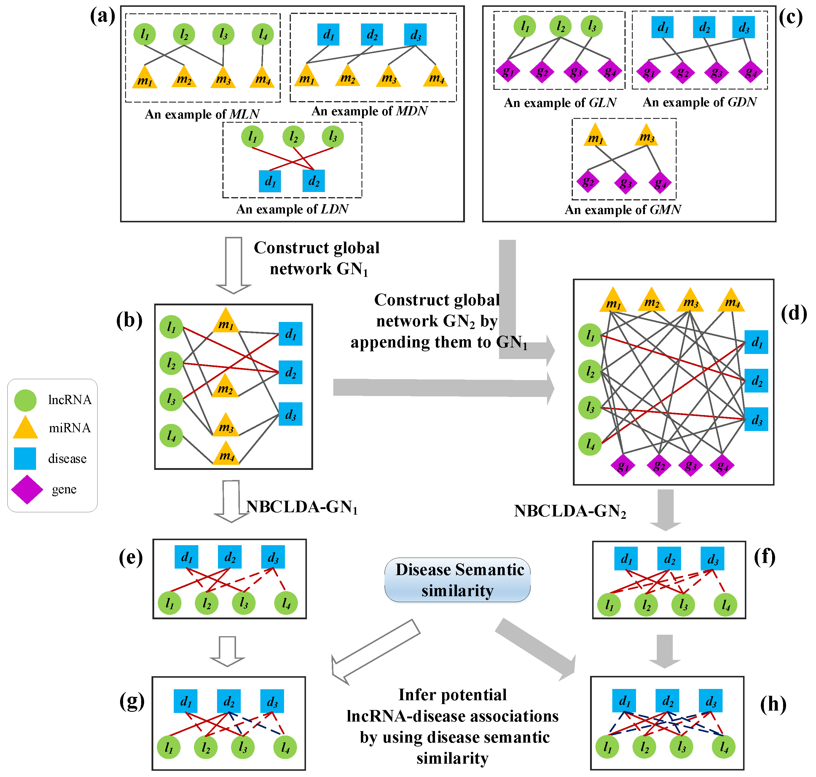 Genes 09 00345 g002 Genes 09 00345 g002