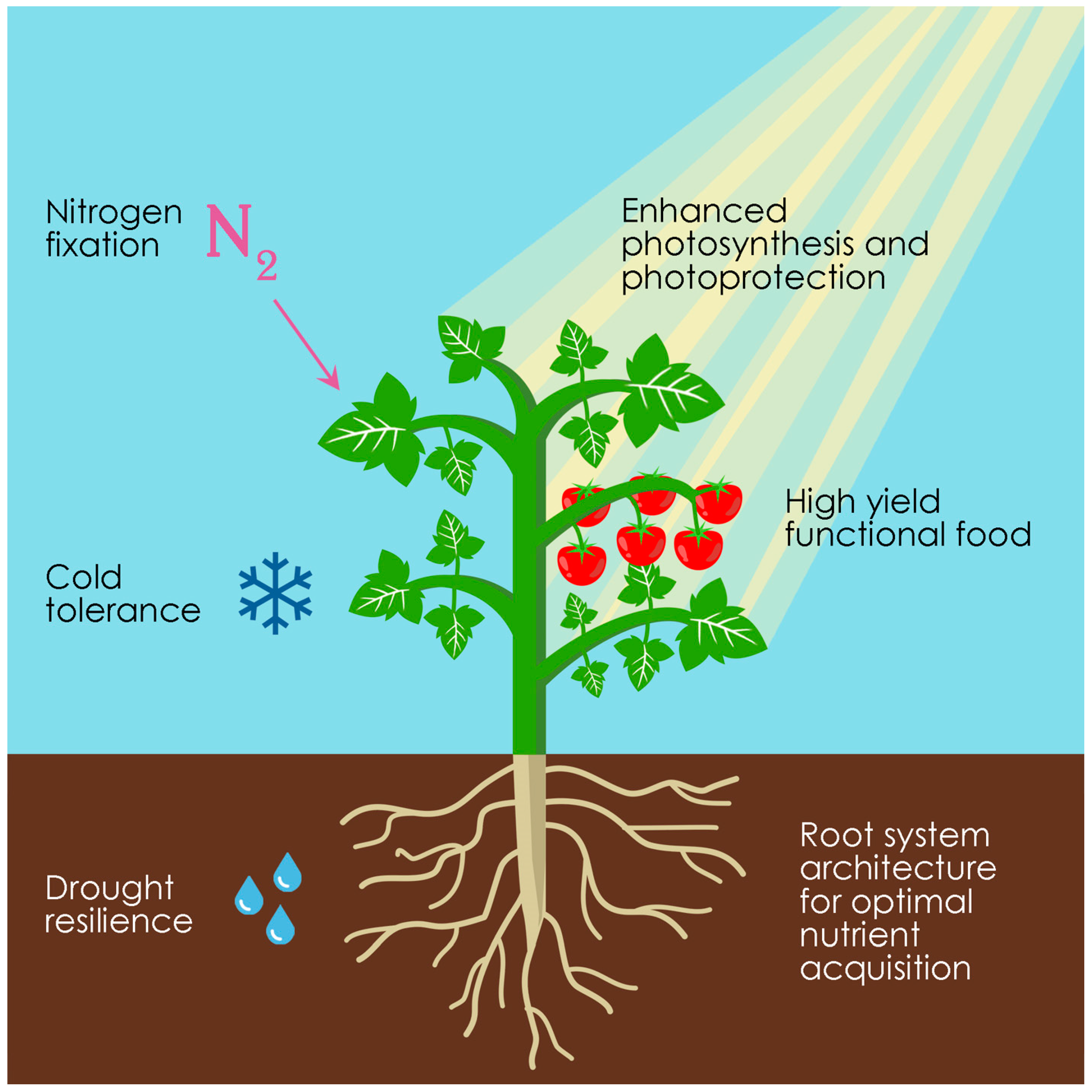 Genes 09 00348 g001