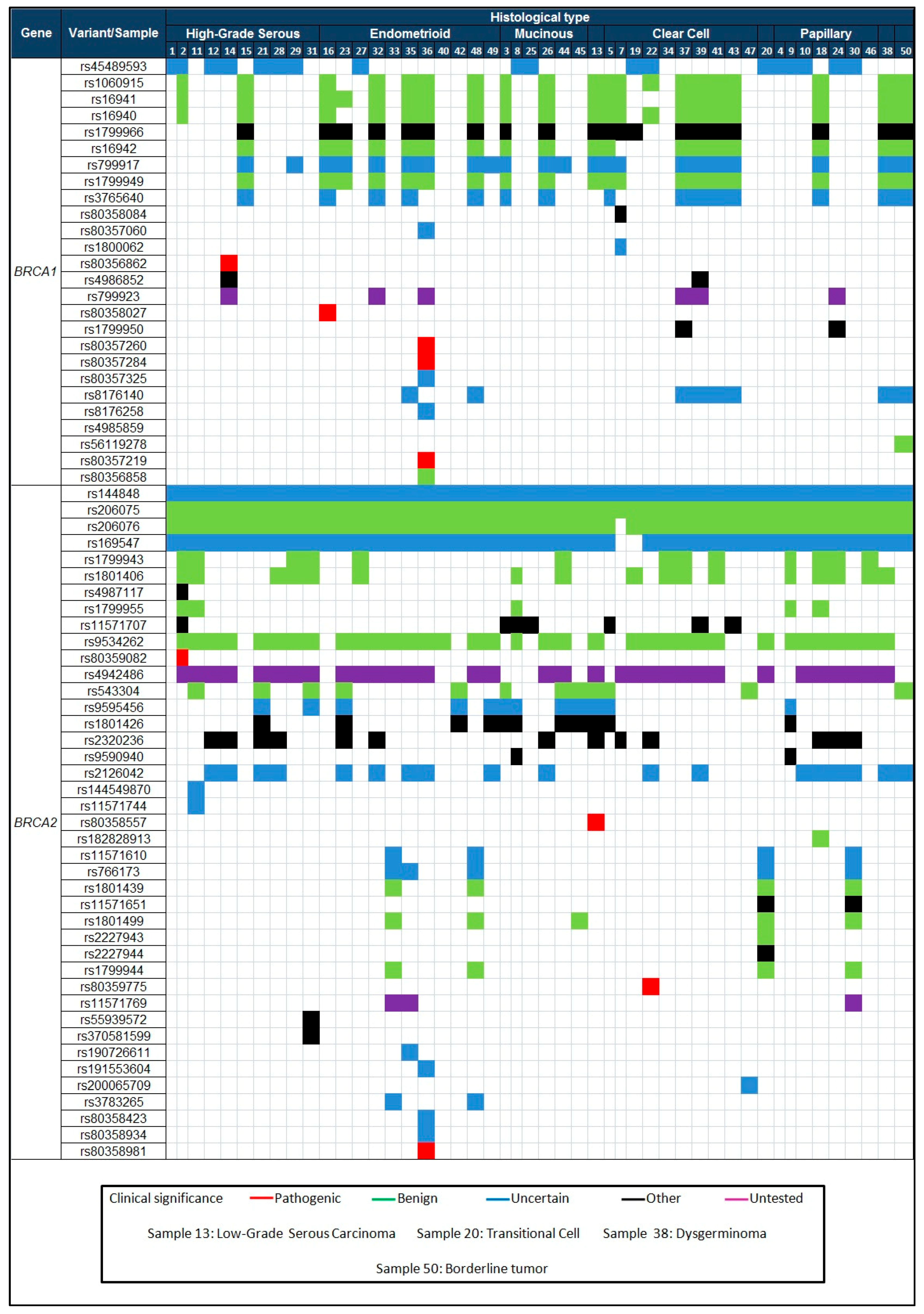 Genes 09 00349 g001