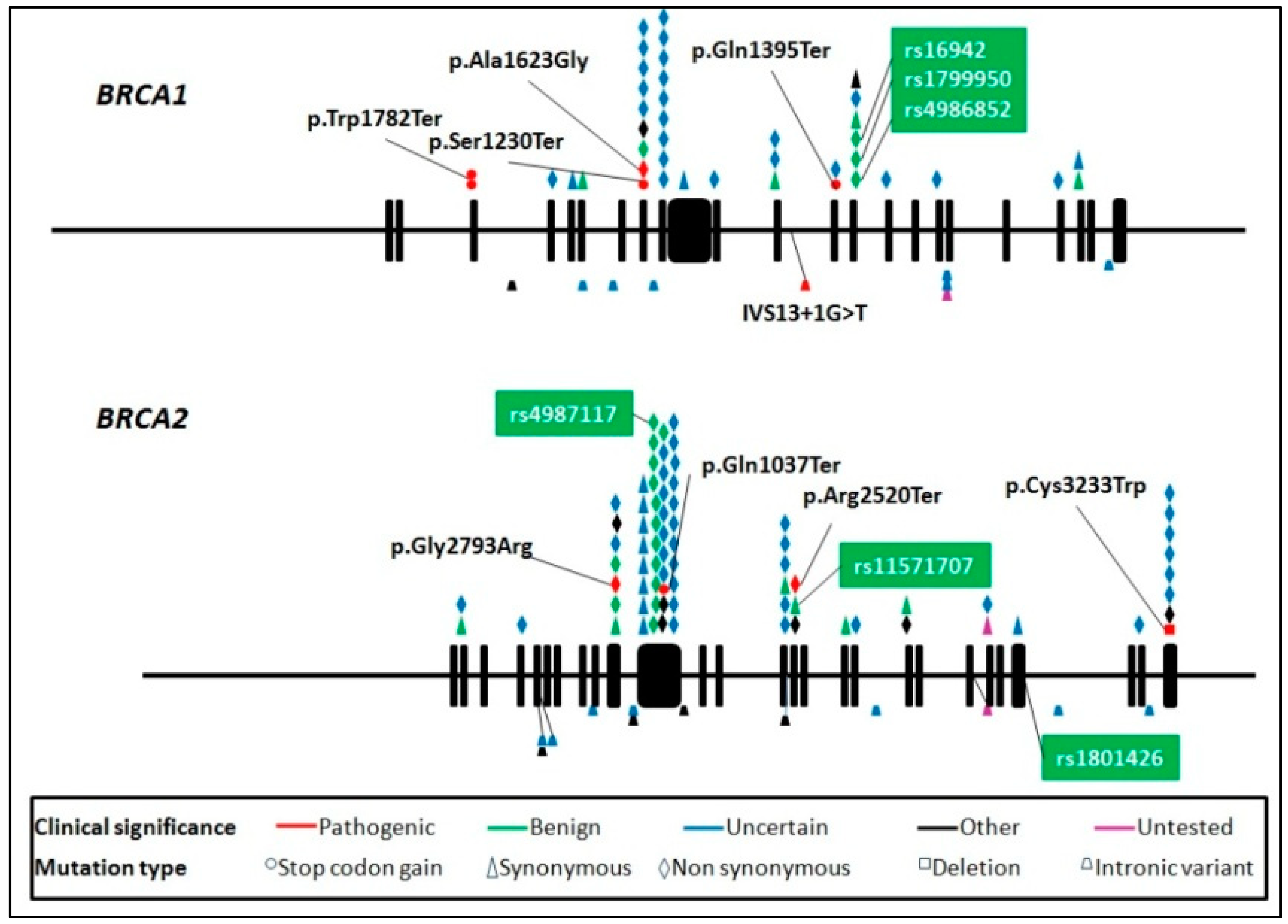 Genes 09 00349 g003