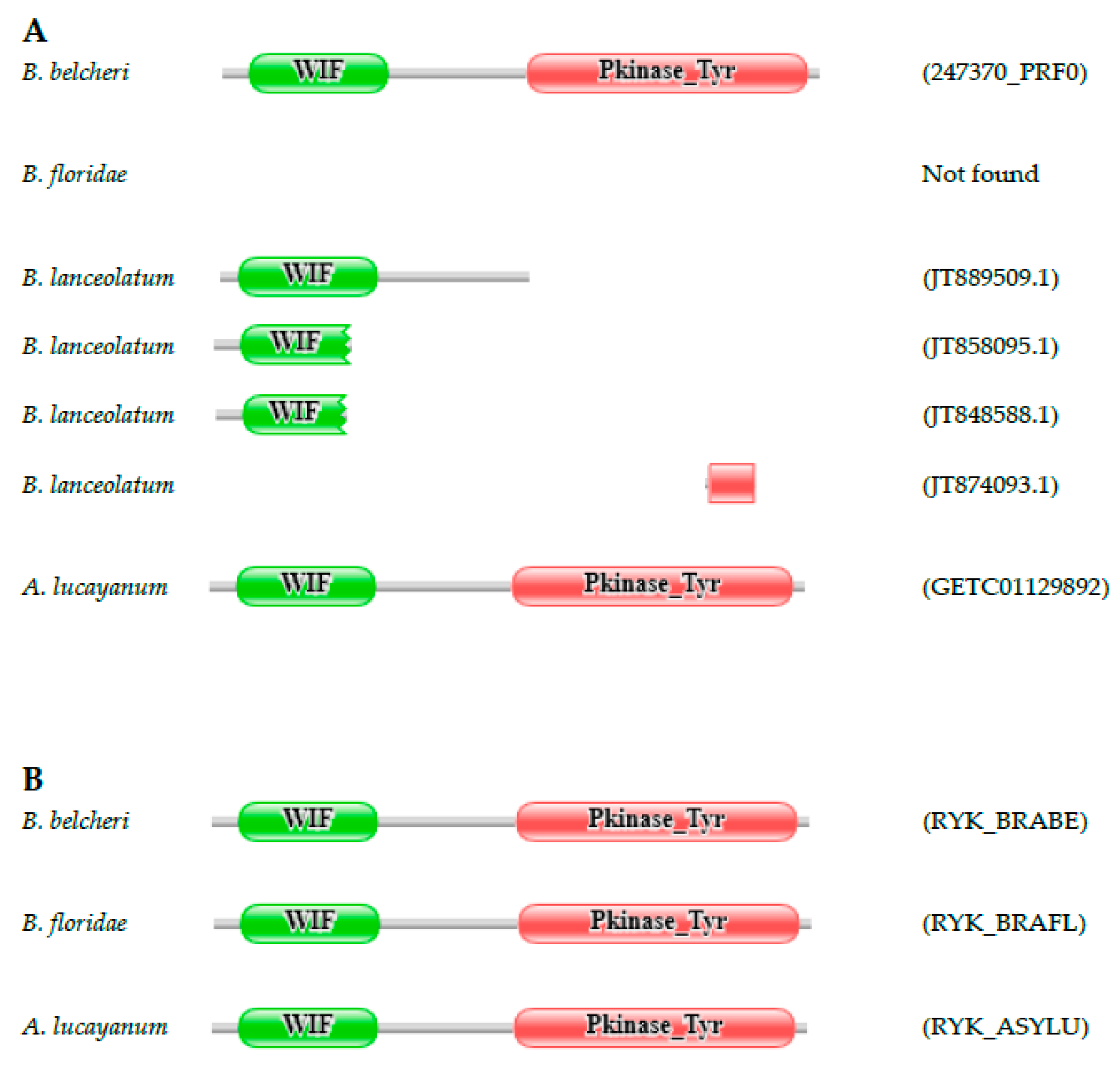 Genes 09 00353 g001 Genes 09 00353 g001