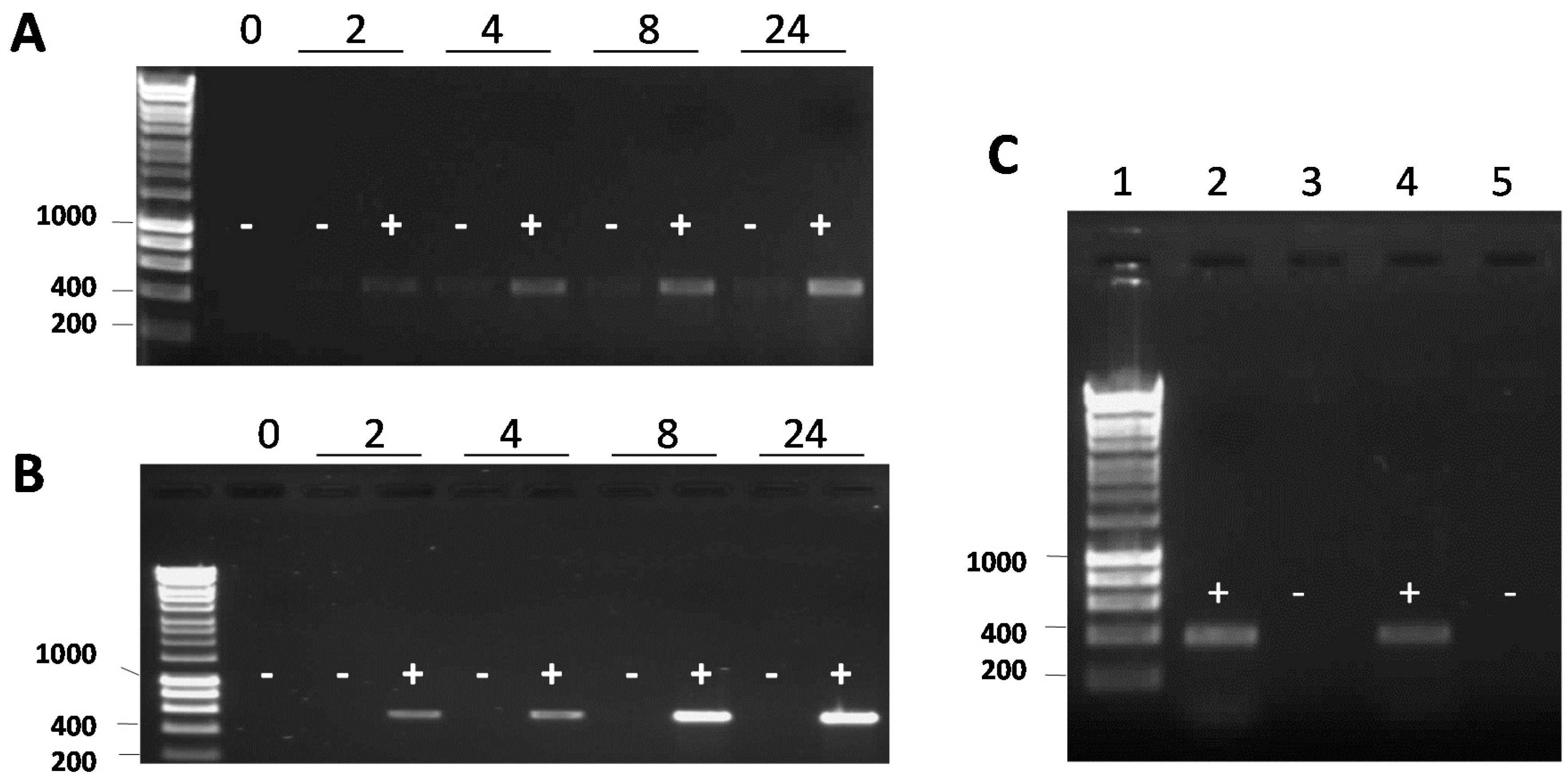 Genes 09 00366 g004