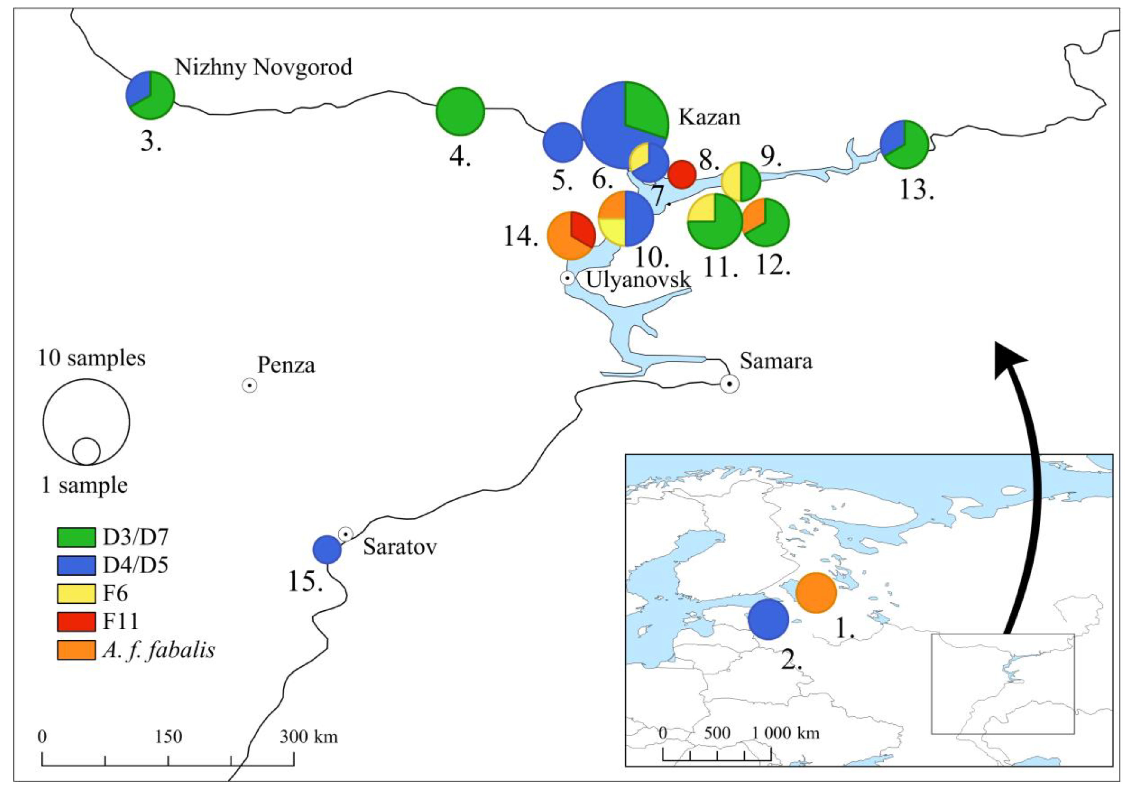 Genes 09 00367 g005 Genes 09 00367 g005