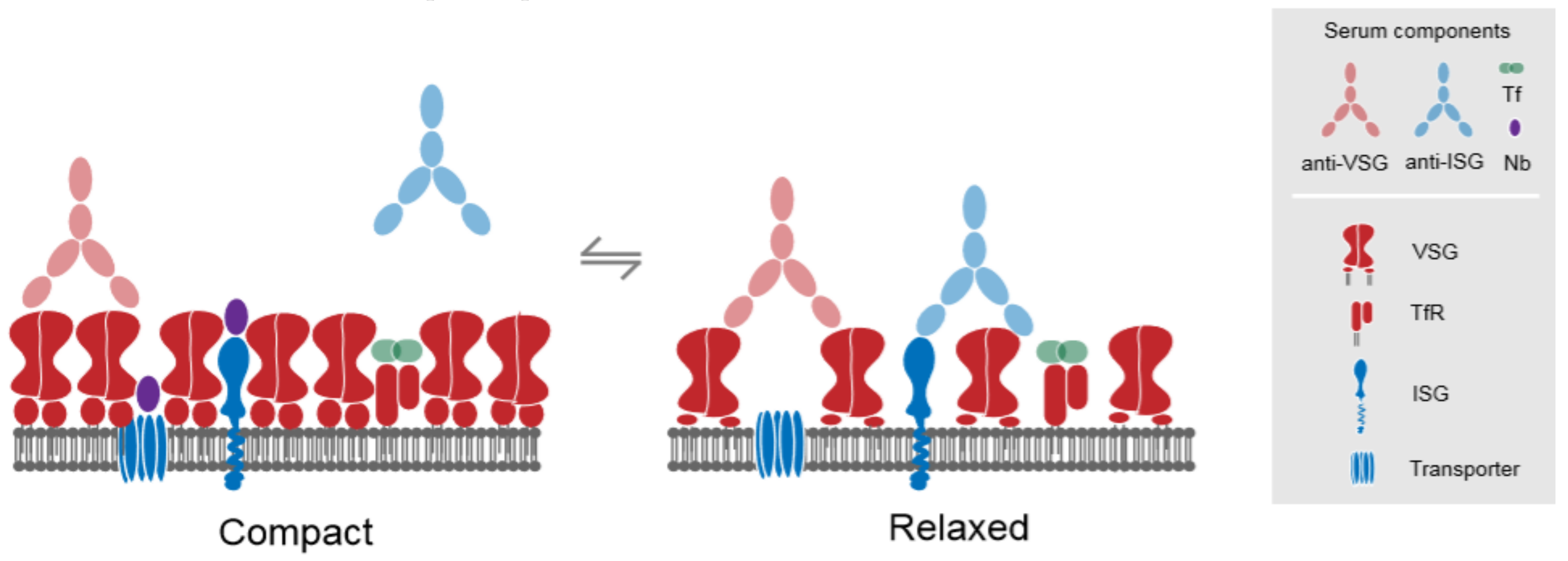 Genes 09 00368 g003 Genes 09 00368 g003