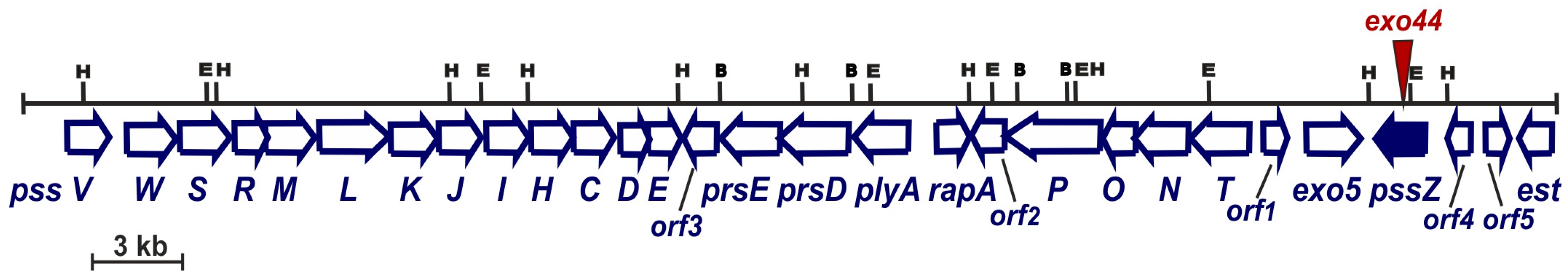 Genes 09 00369 g002 Genes 09 00369 g002