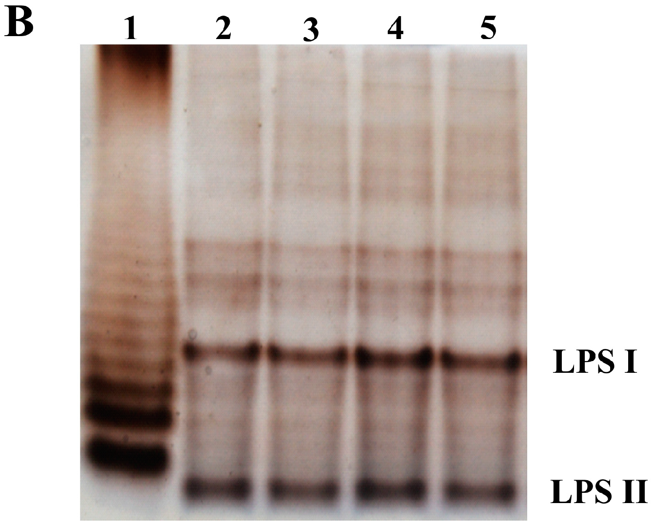 Genes 09 00369 g004b Genes 09 00369 g004b