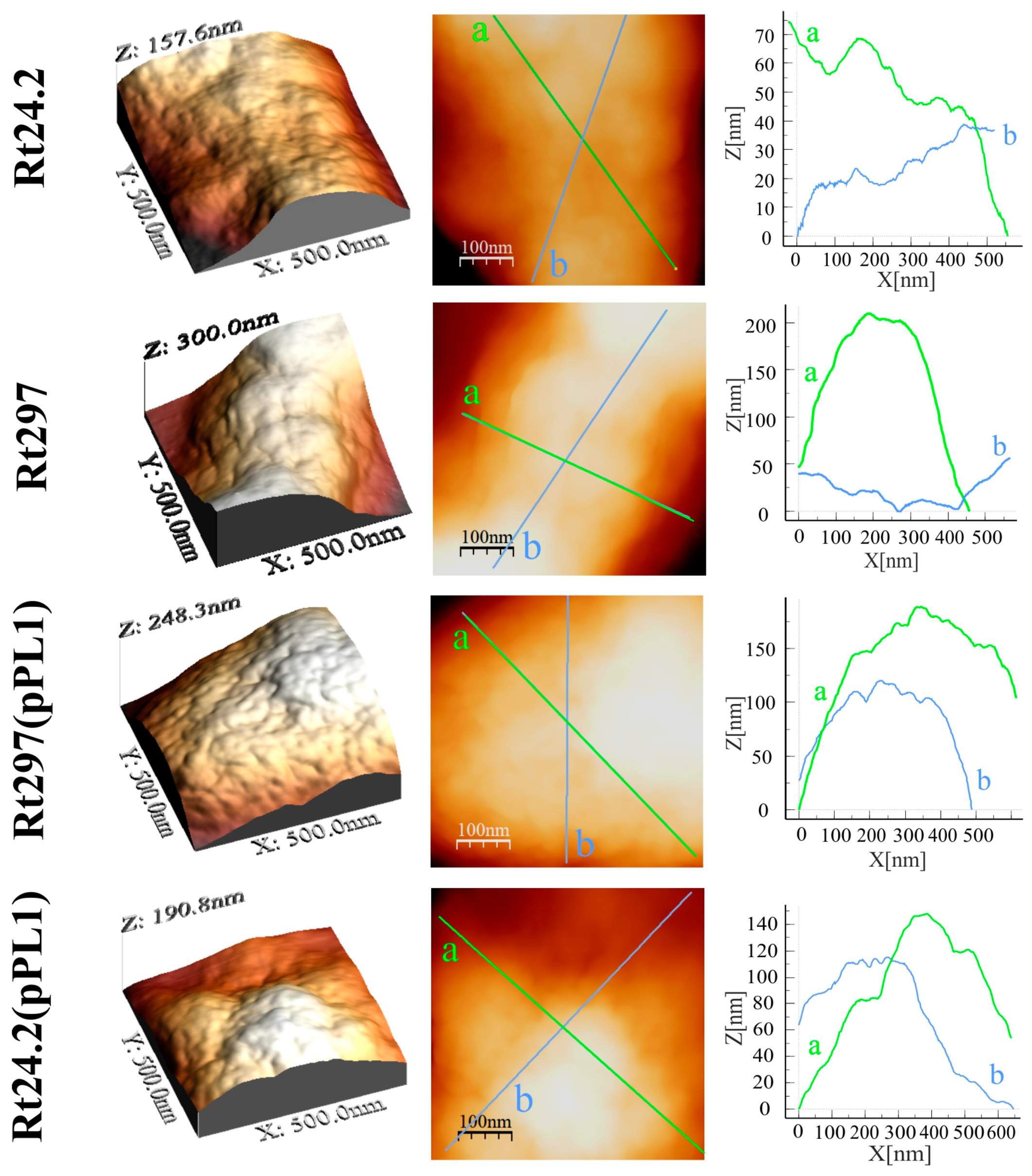 Genes 09 00369 g009 Genes 09 00369 g009