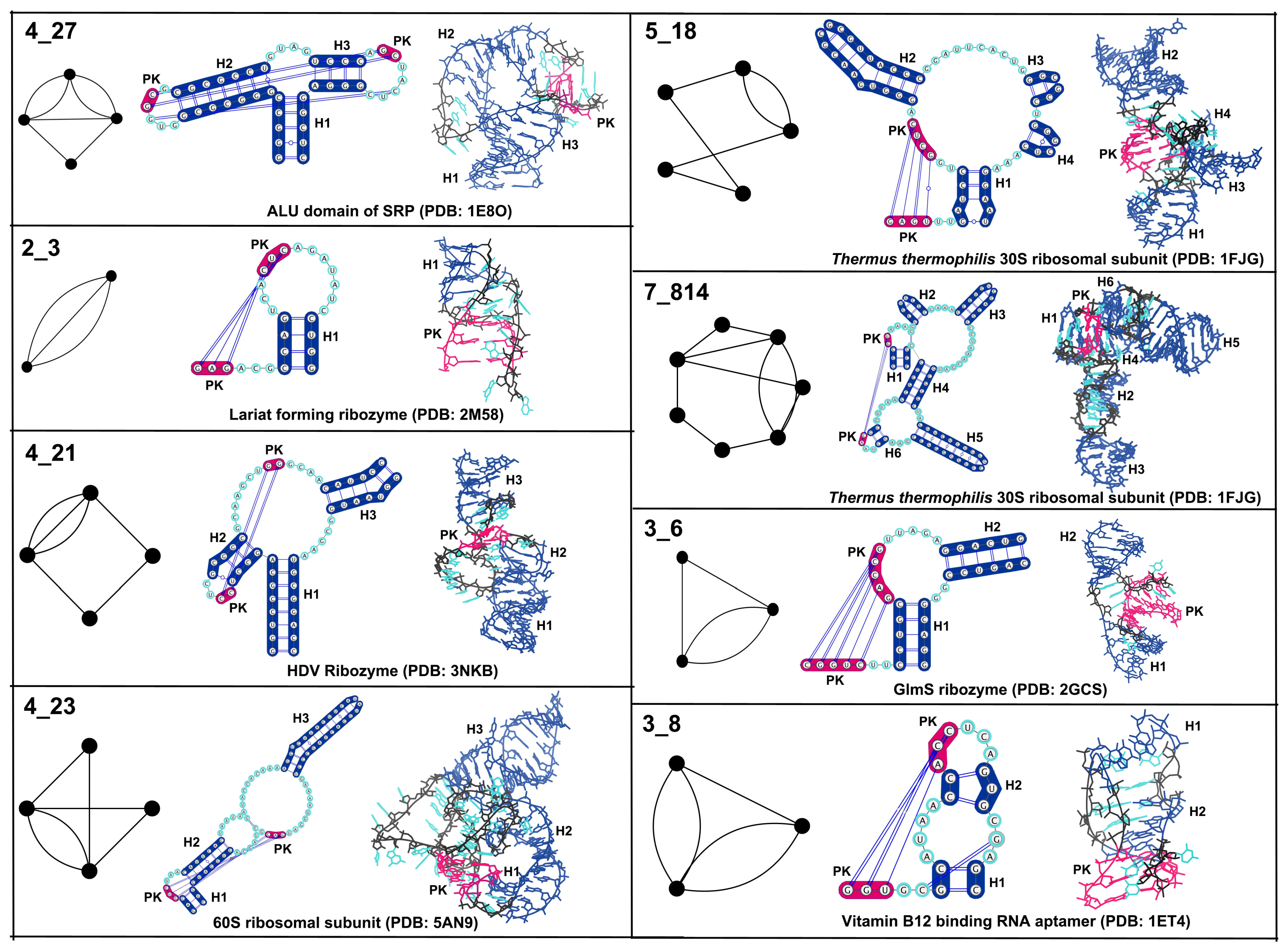 Genes 09 00371 g006 Genes 09 00371 g006