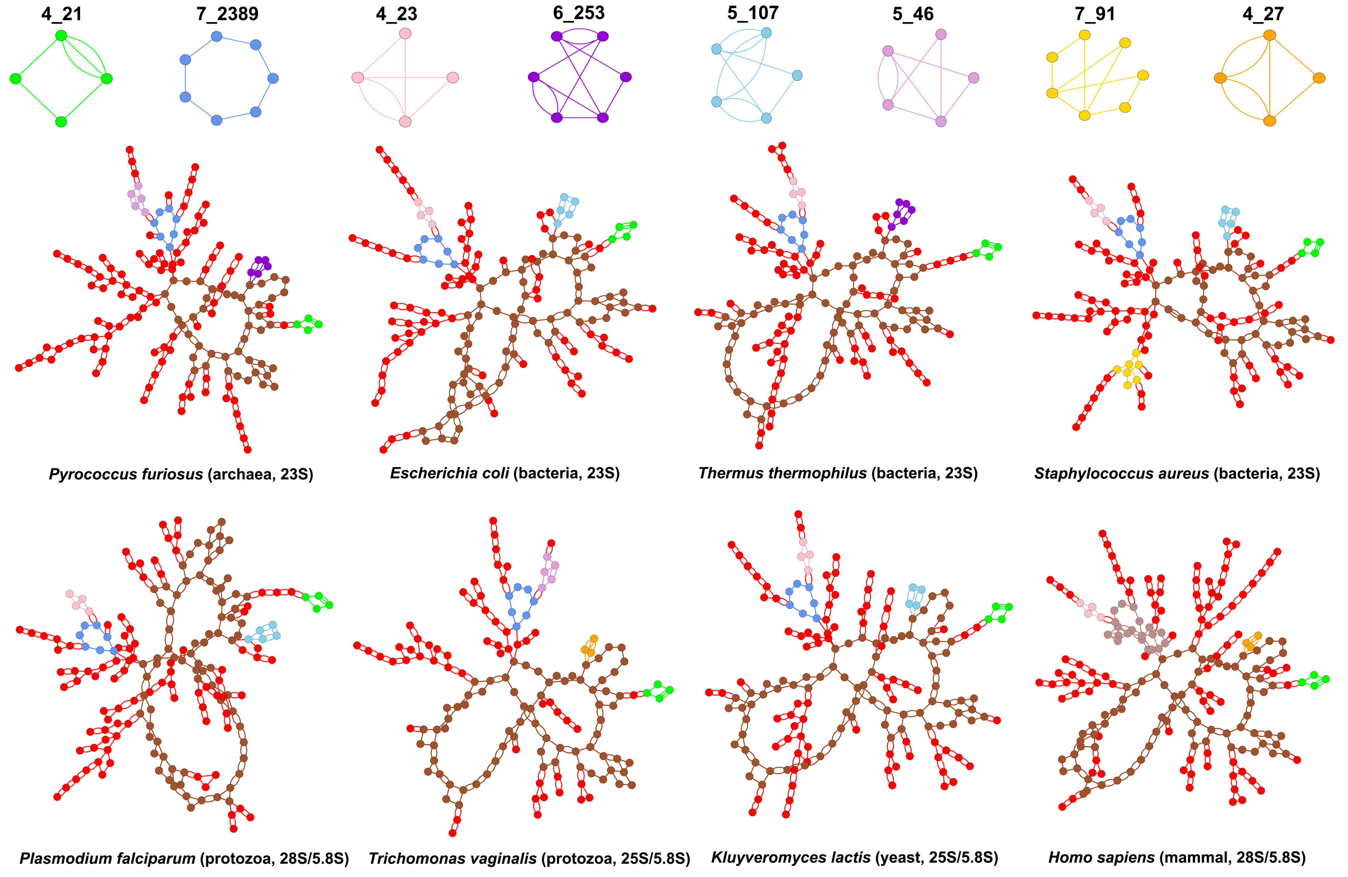 Genes 09 00371 g008 Genes 09 00371 g008