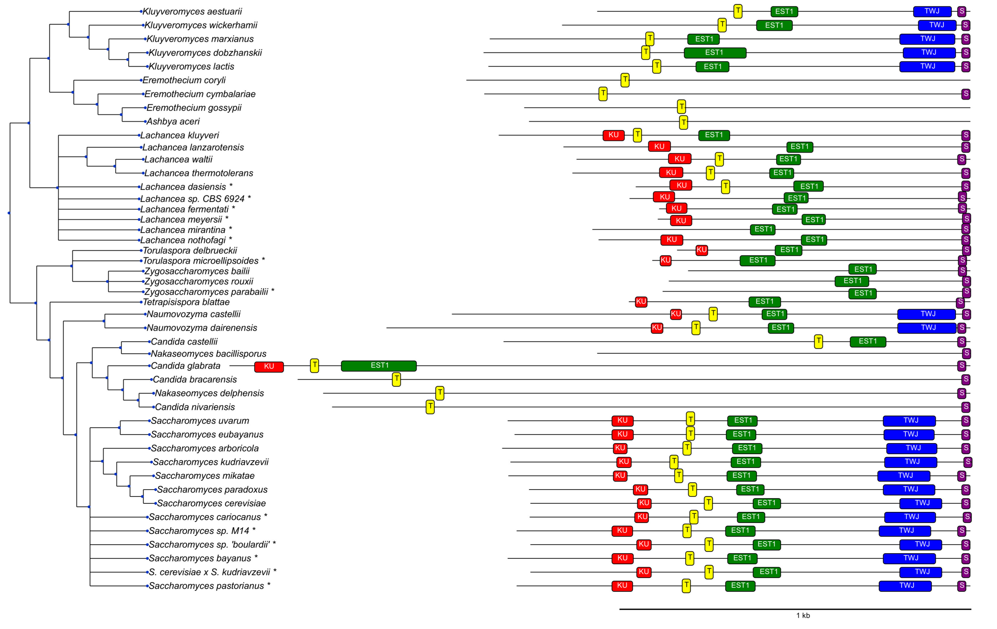 Genes 09 00372 g002 Genes 09 00372 g002
