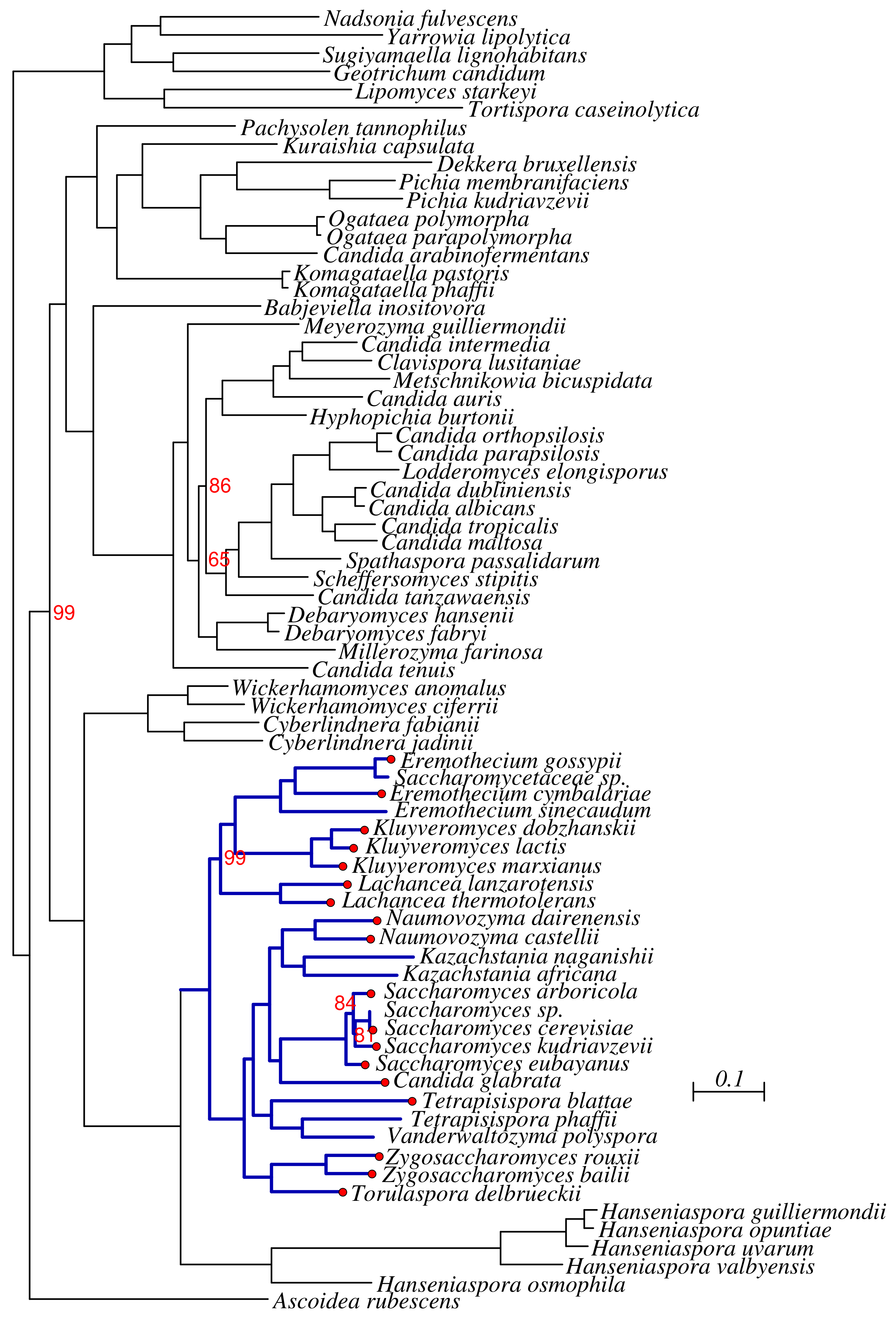 Genes 09 00372 g0a1 Genes 09 00372 g0a1