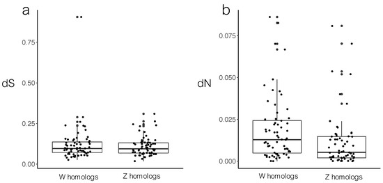 Genes Free Full Text Insights Into Avian Incomplete Dosage Compensation Sex Biased Gene Expression Coevolves With Sex Chromosome Degeneration In The Common Whitethroat Html