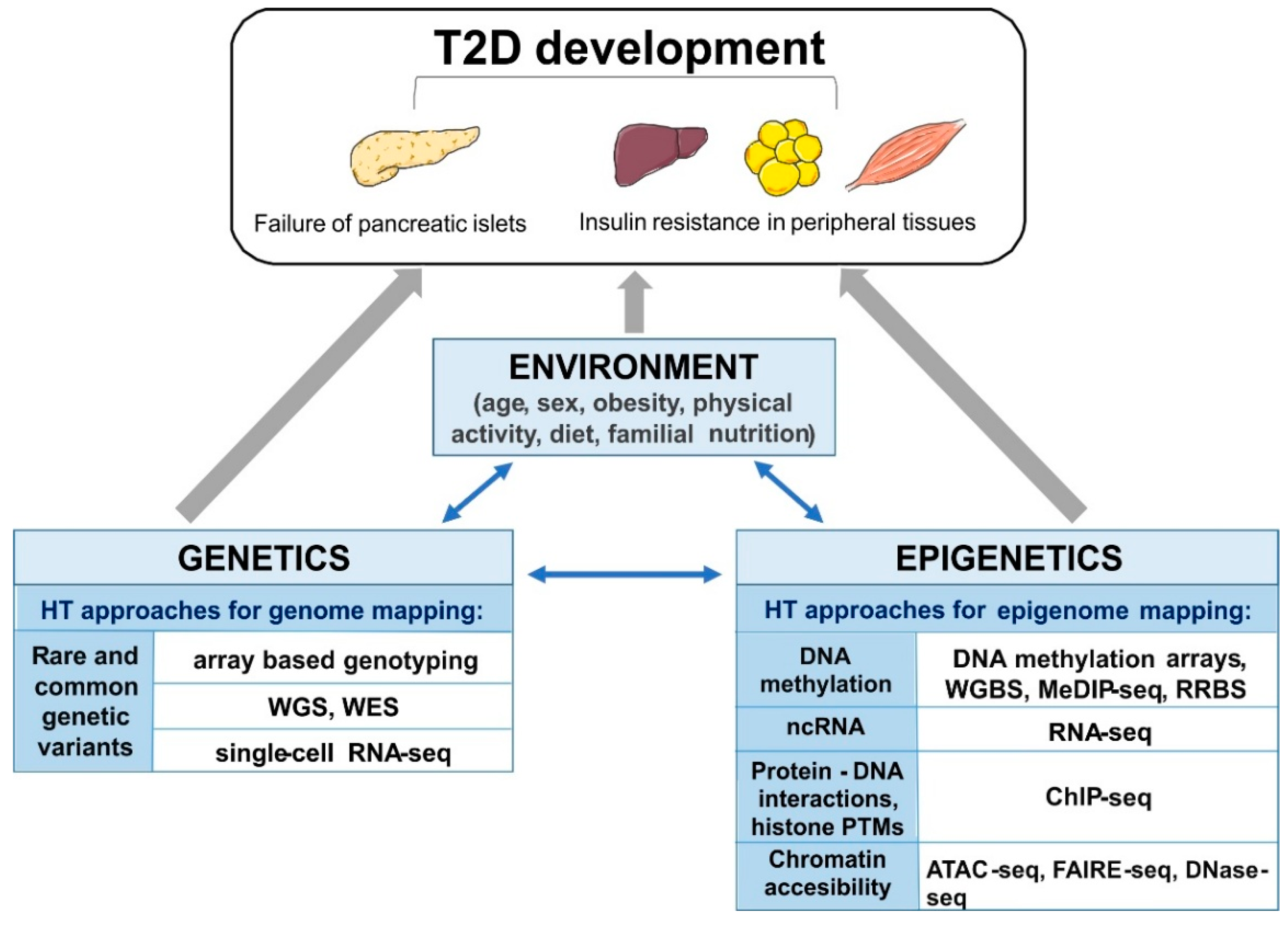 Genes 09 00374 g001 Genes 09 00374 g001