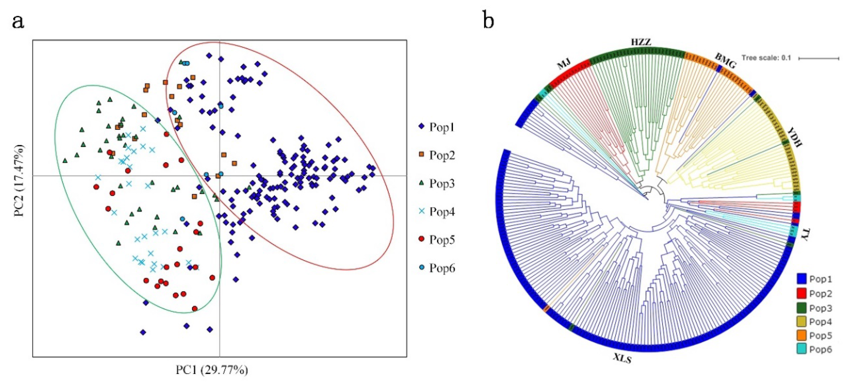 Genes 09 00378 g005 Genes 09 00378 g005