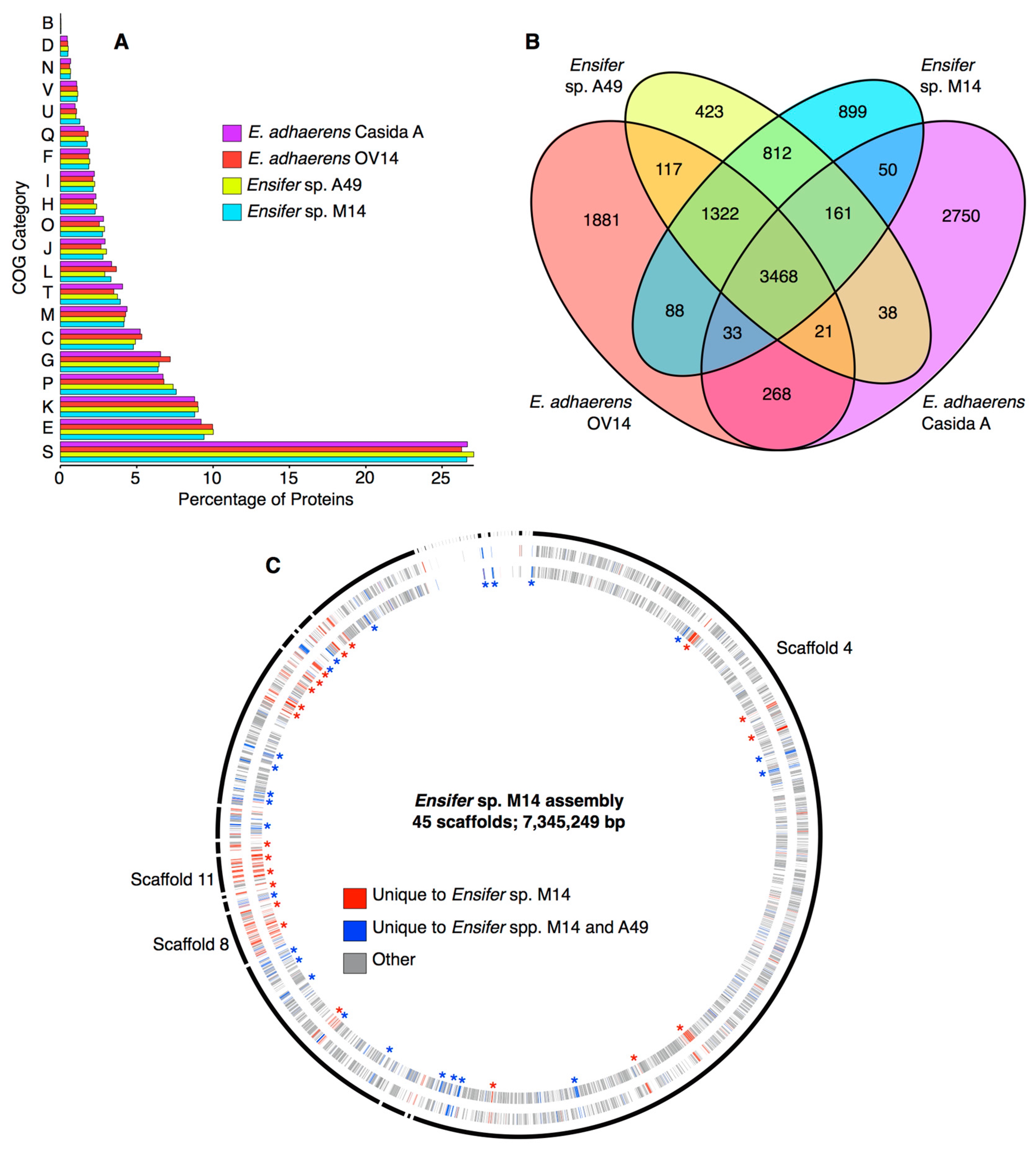 Genes 09 00379 g003