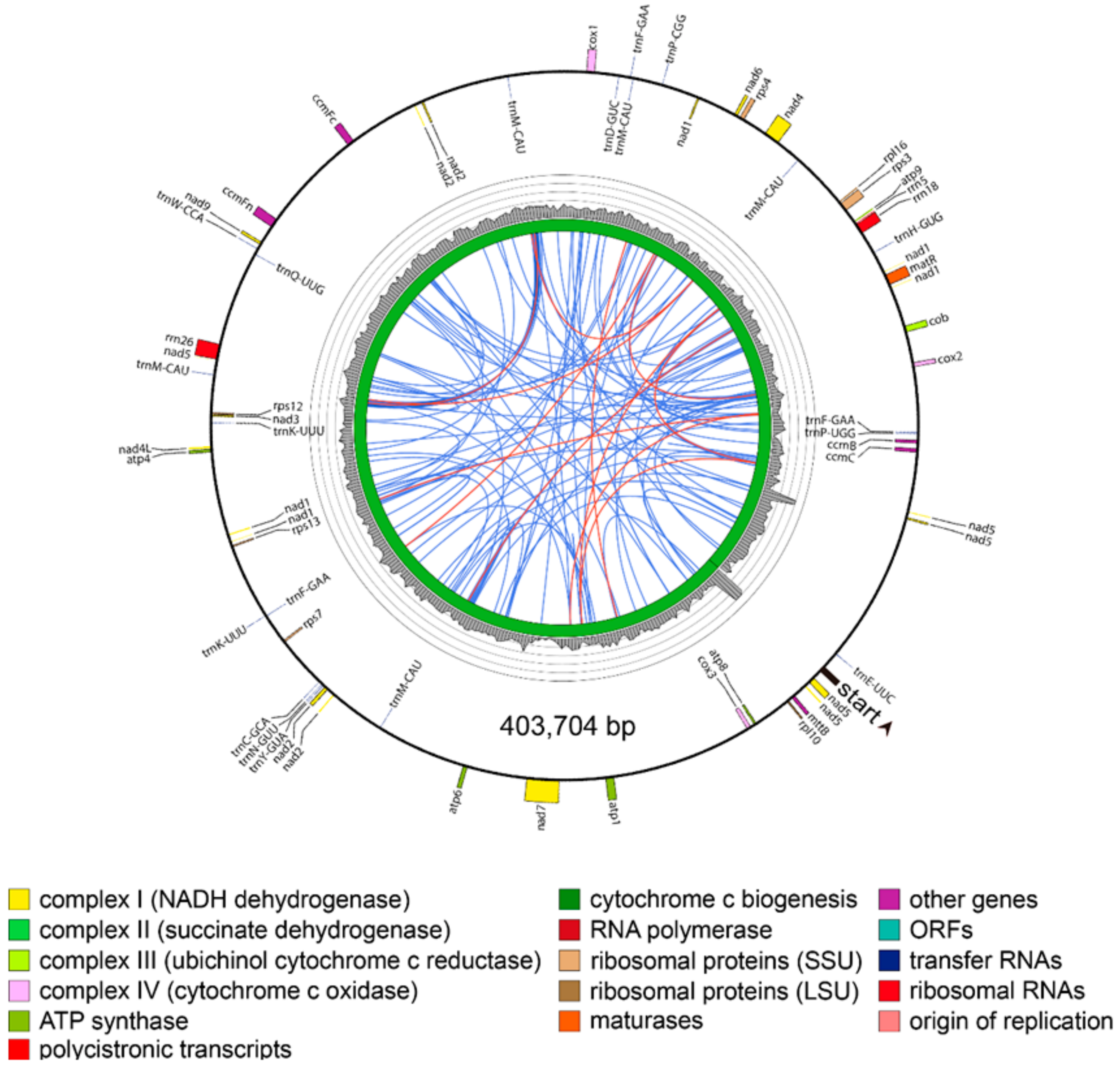 Genes 09 00383 g004 550