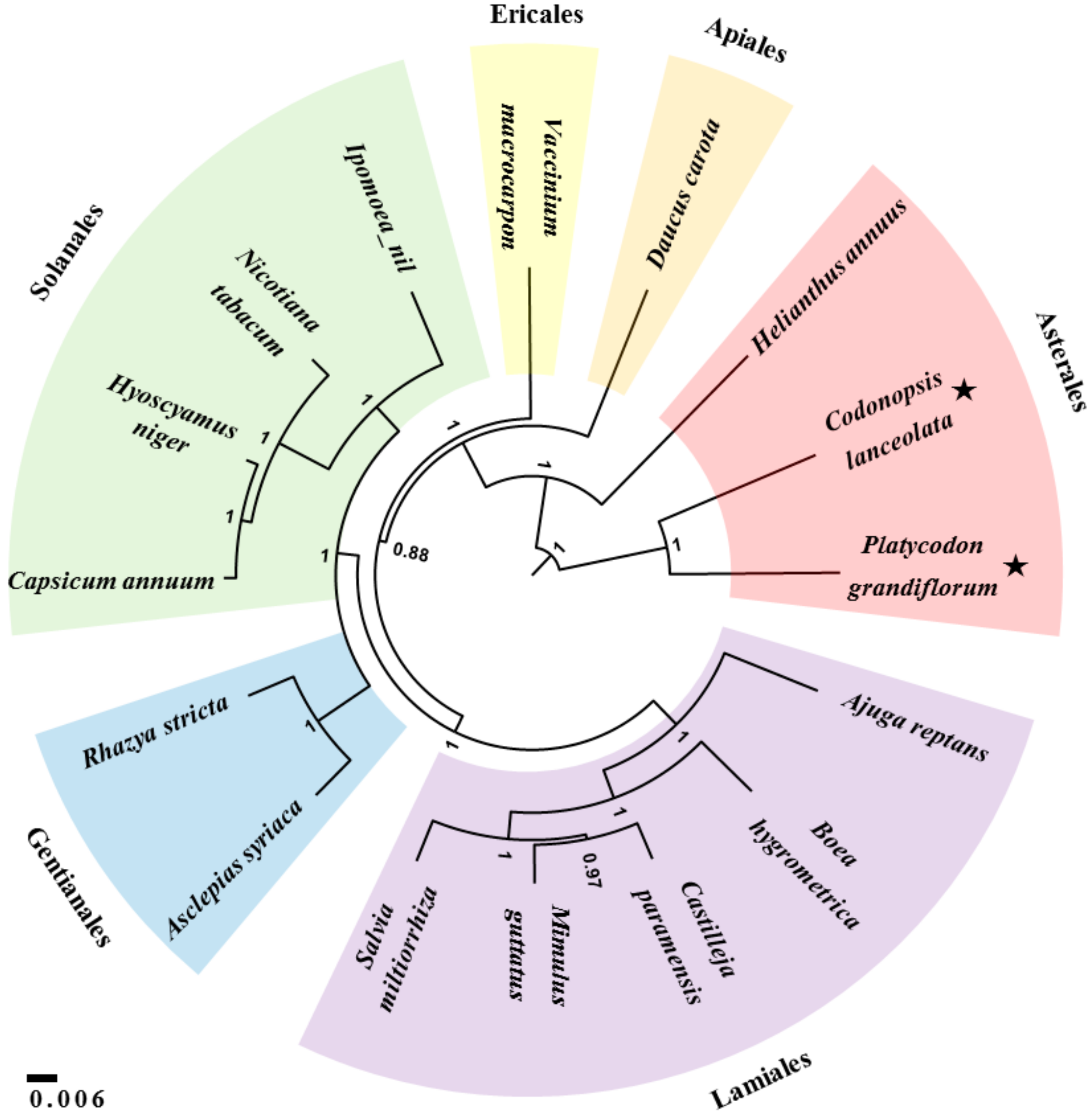 Genes 09 00383 g005 550