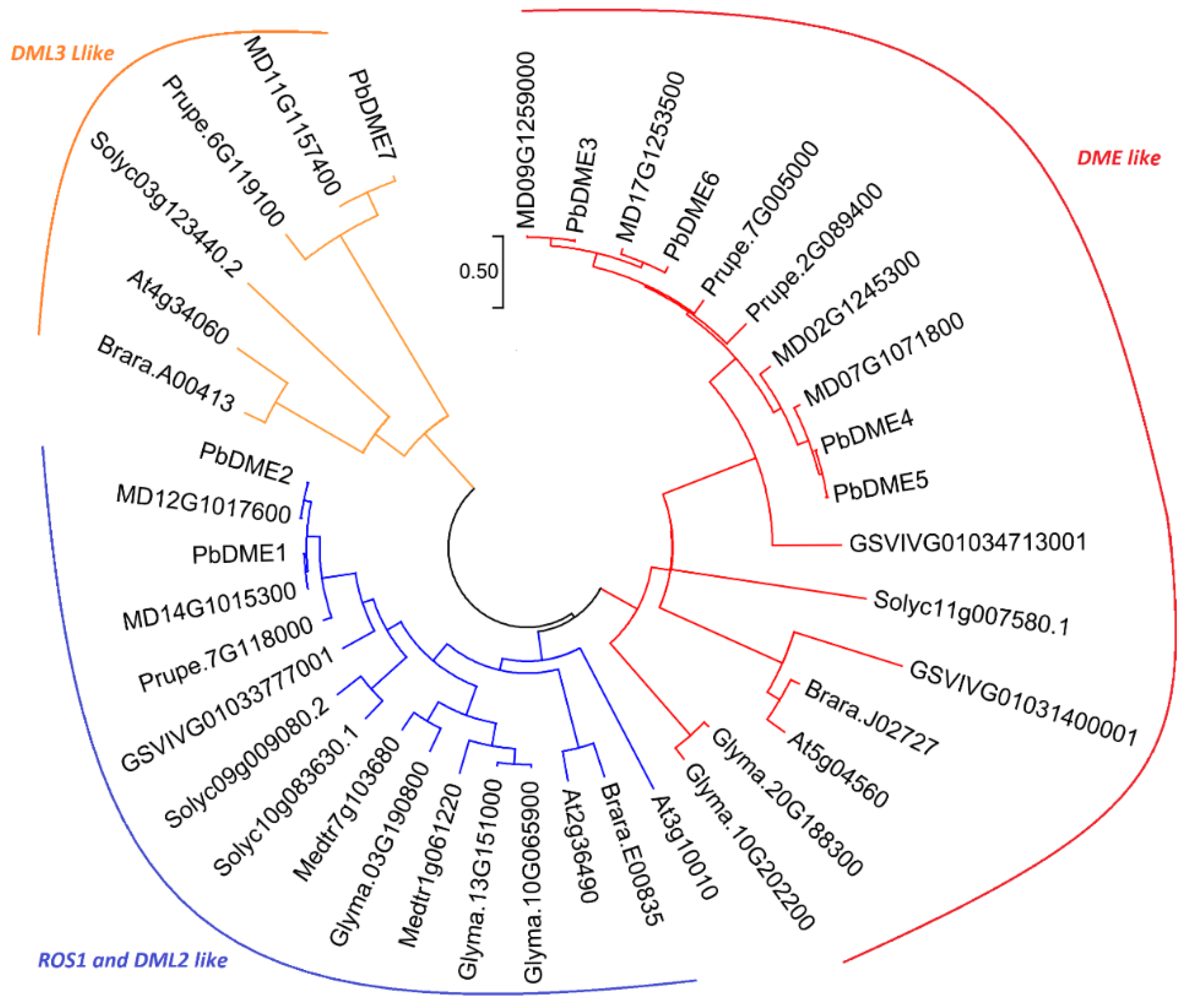 Genes 09 00398 g002 Genes 09 00398 g002