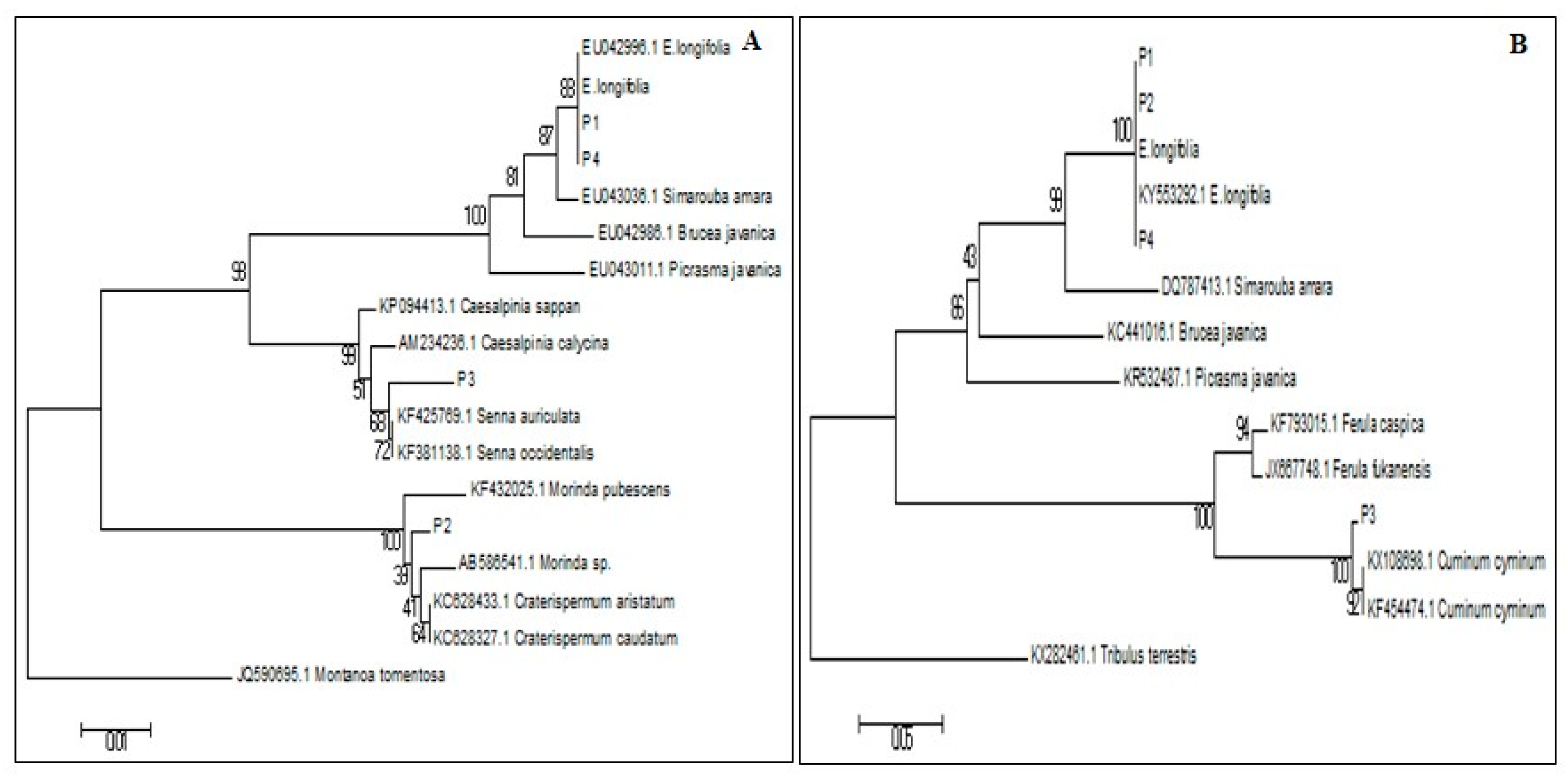 Genes 09 00408 g004 550